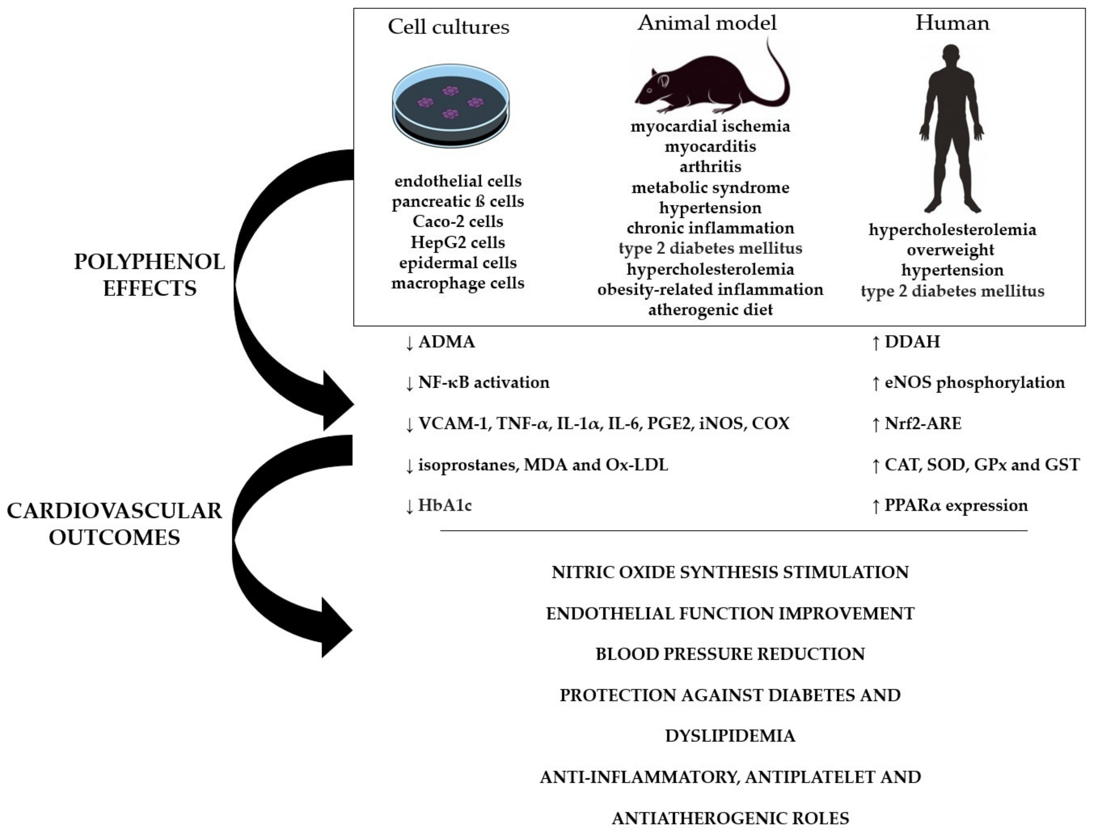 Molecules 26 04621 g001 Molecules 26 04621 g001