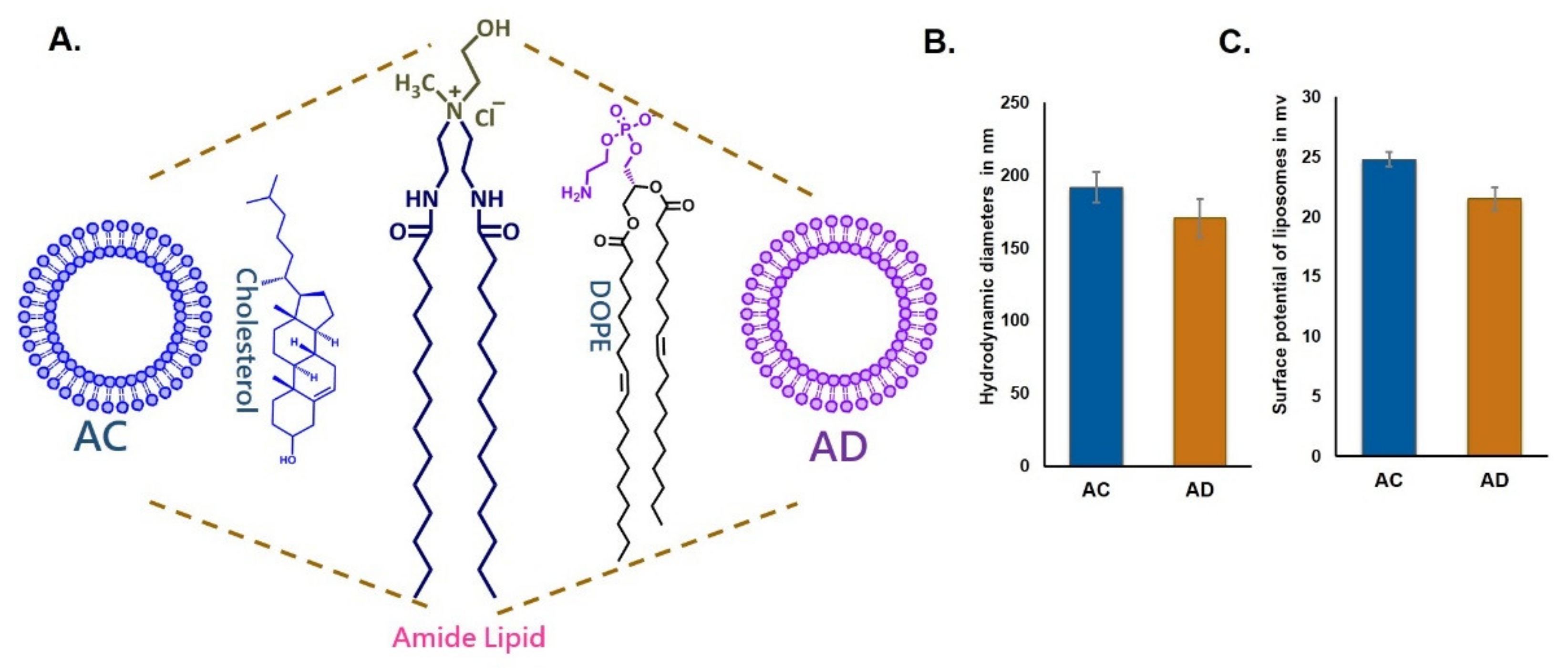 Molecules 26 04626 g001
