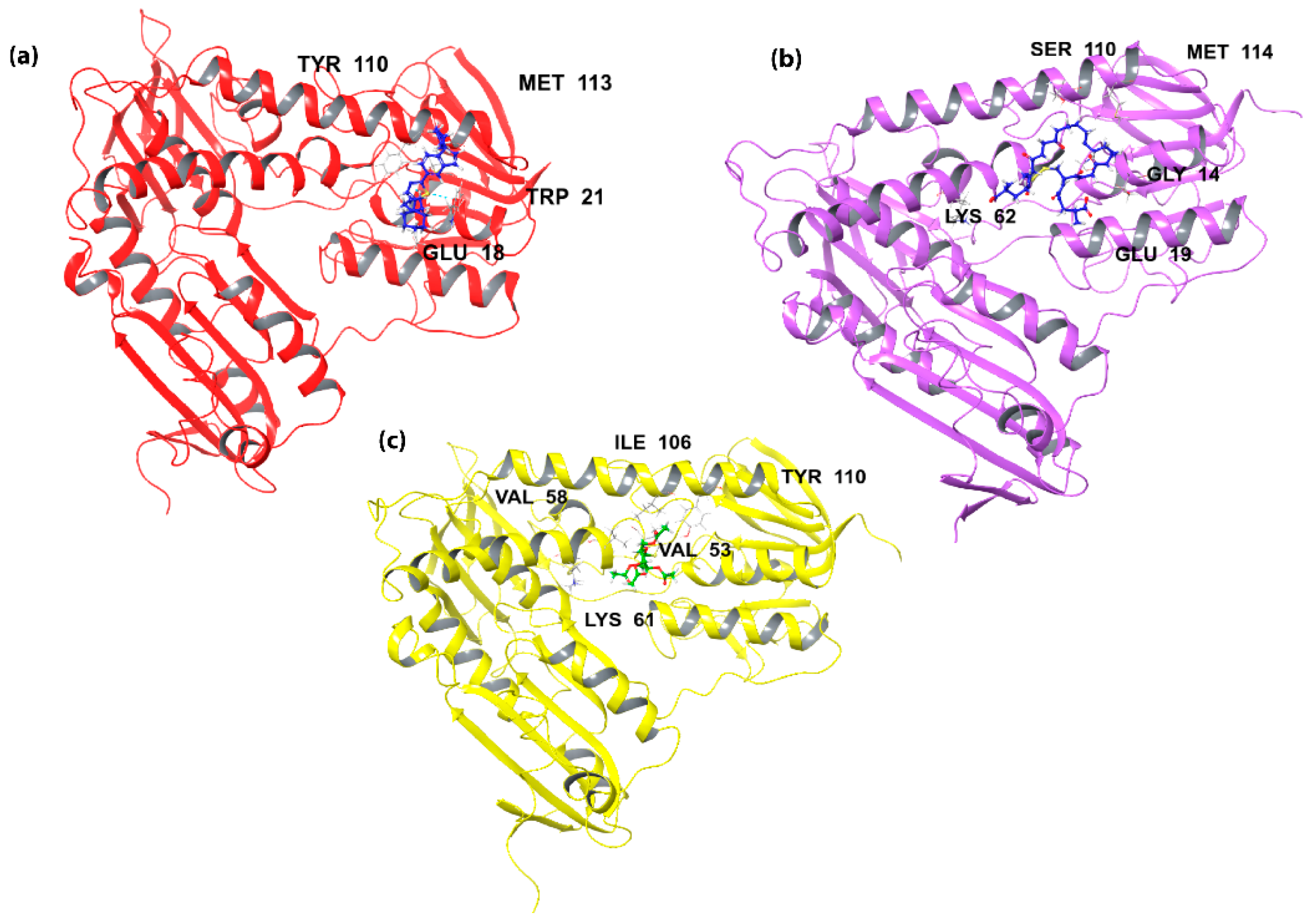 Molecules 26 04629 g003 Molecules 26 04629 g003