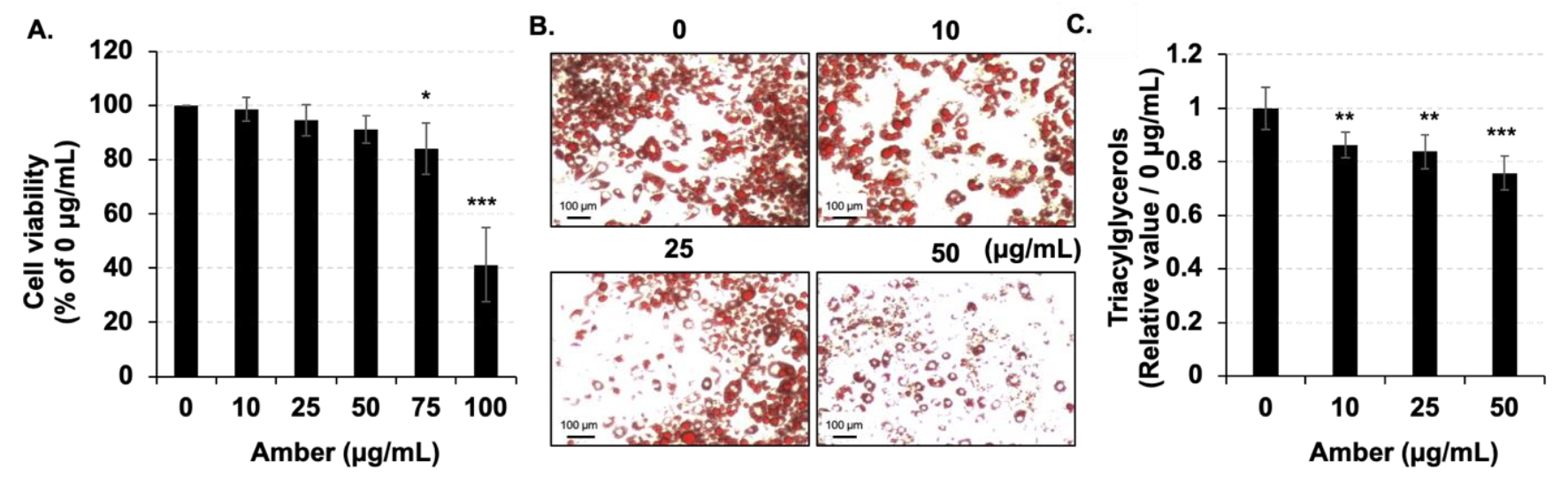 Molecules 26 04630 g001