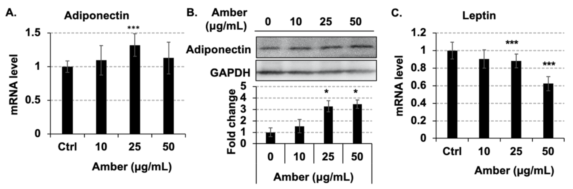Molecules 26 04630 g004
