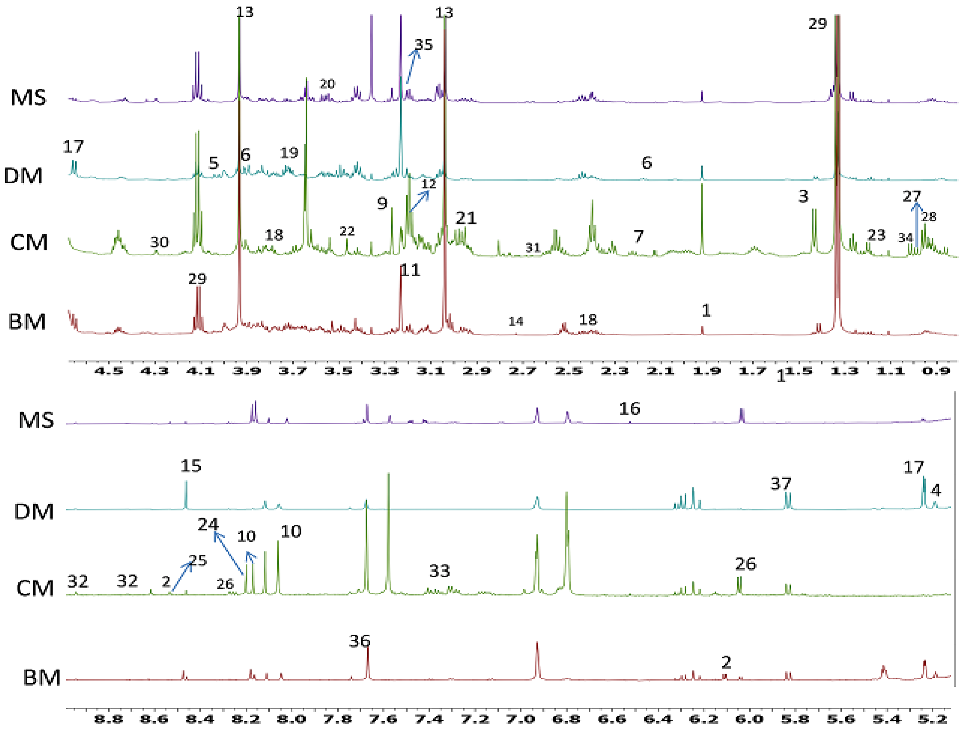 Molecules 26 04643 g001