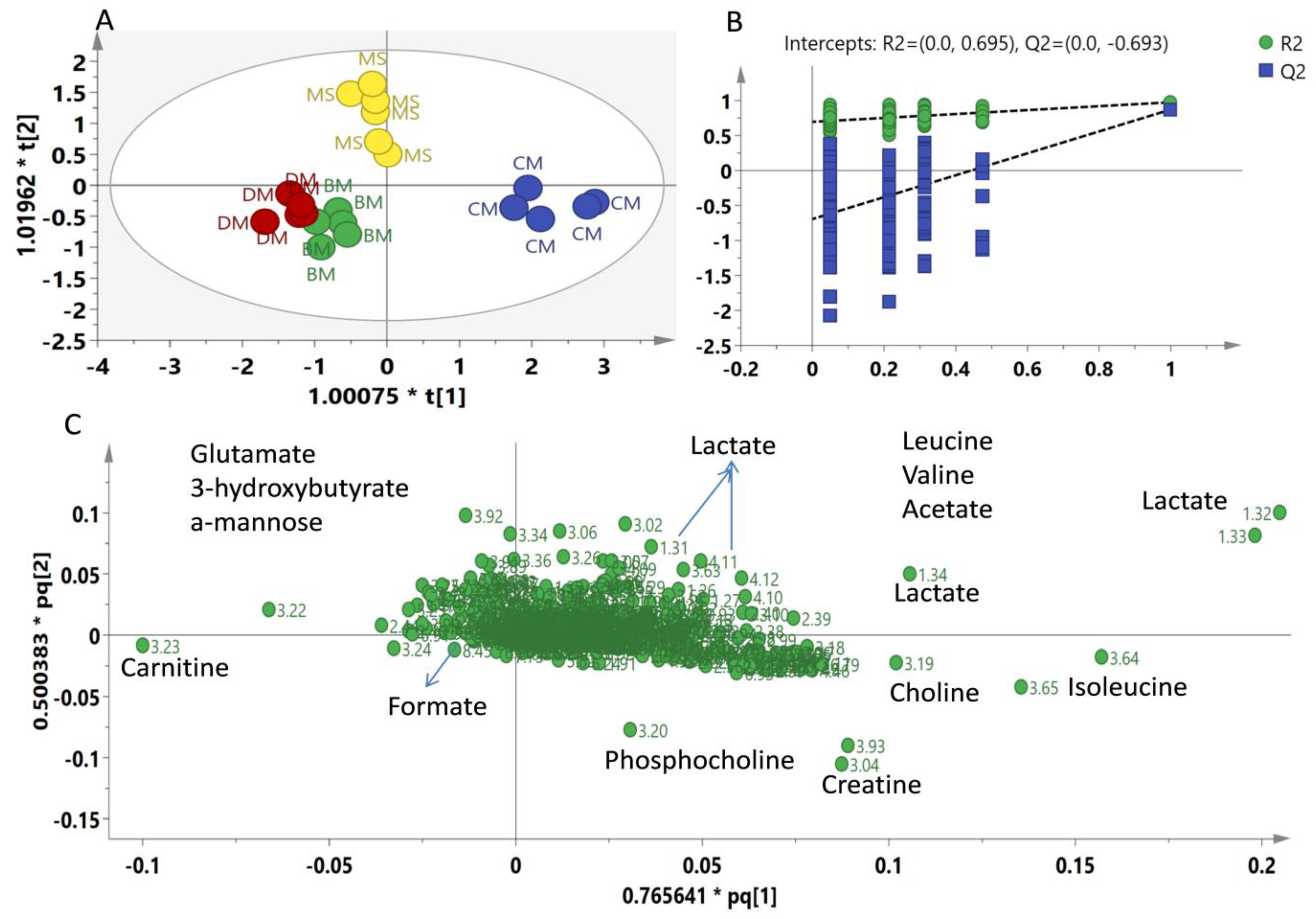 Molecules 26 04643 g003