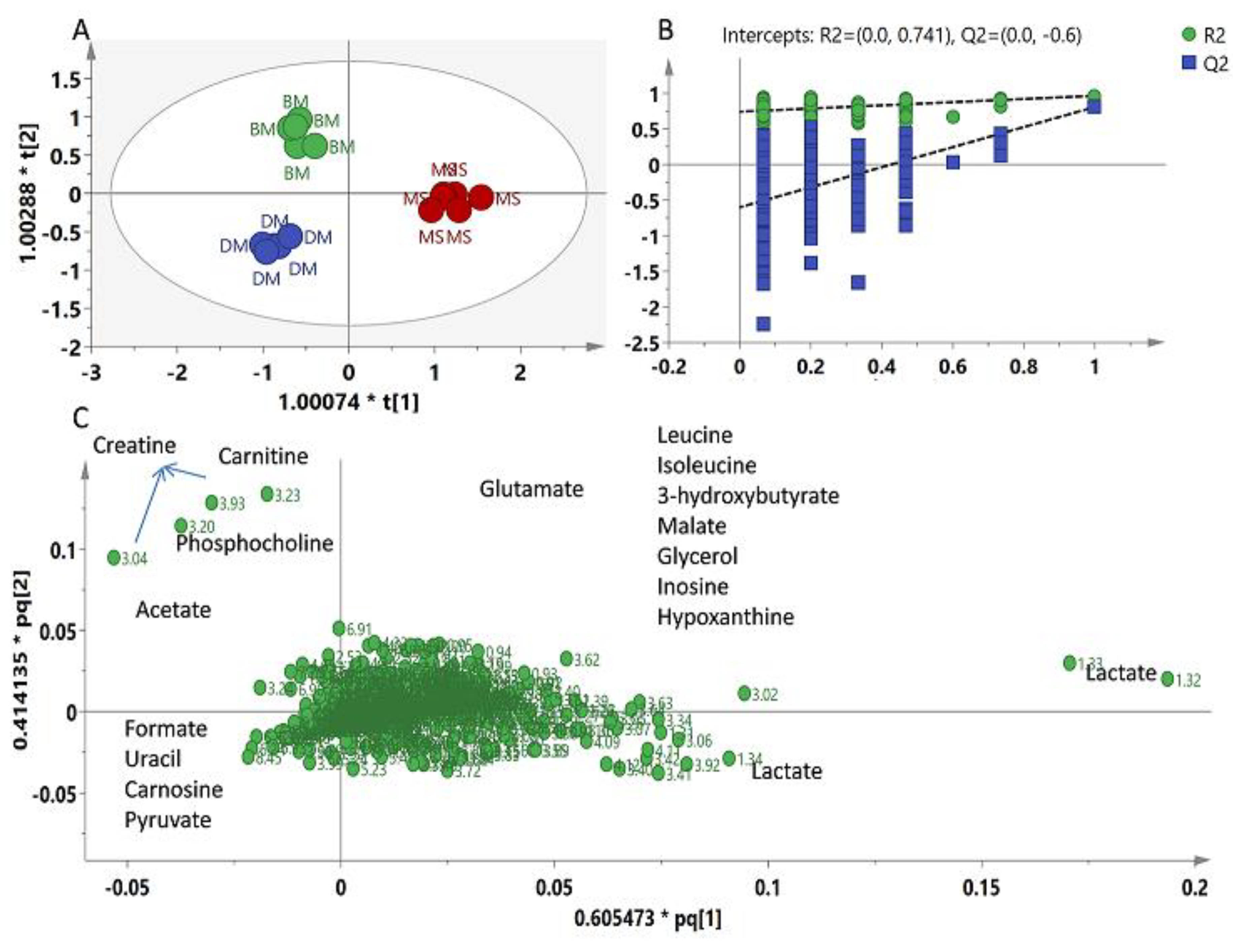Molecules 26 04643 g004