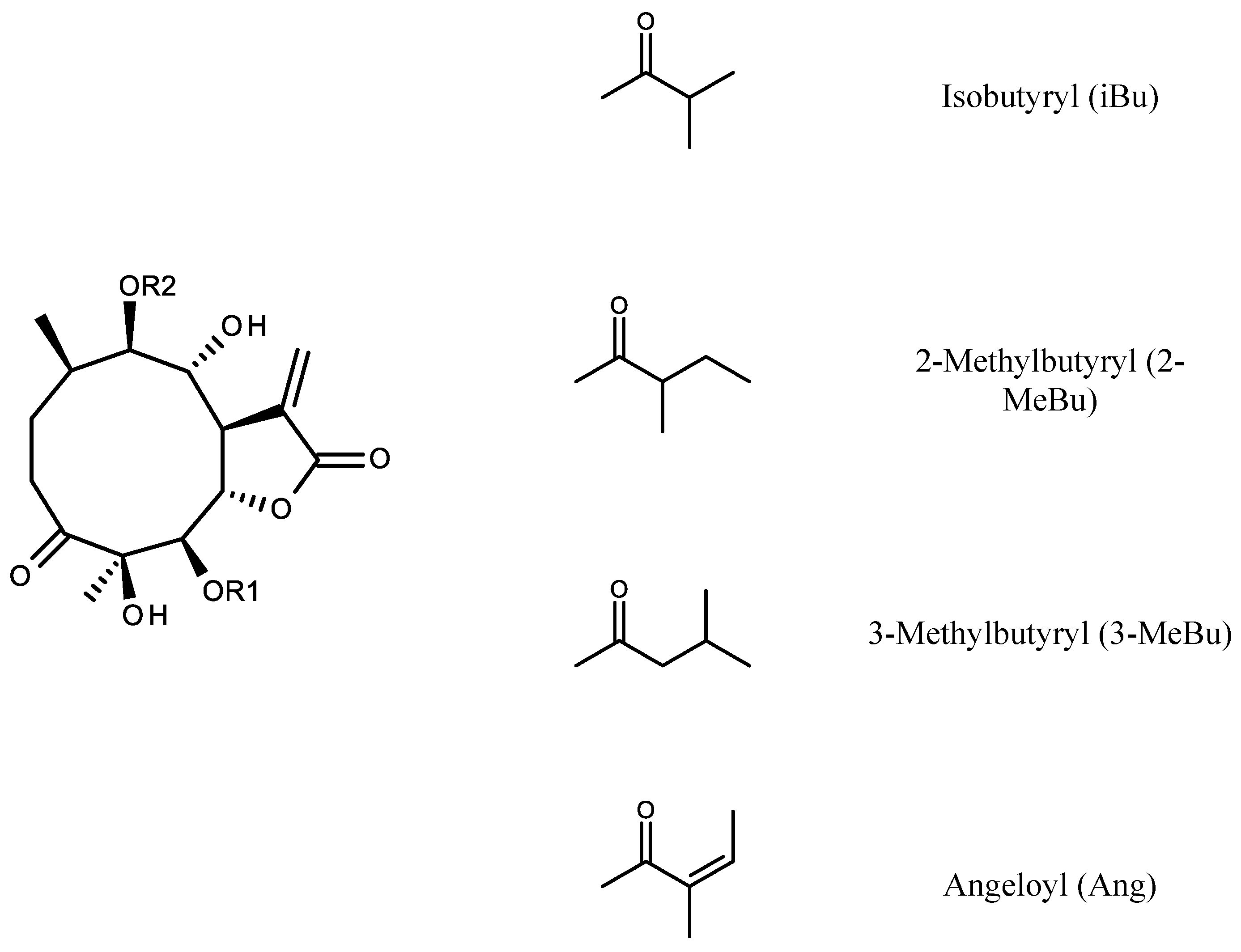 Molecules 26 04644 g001 550