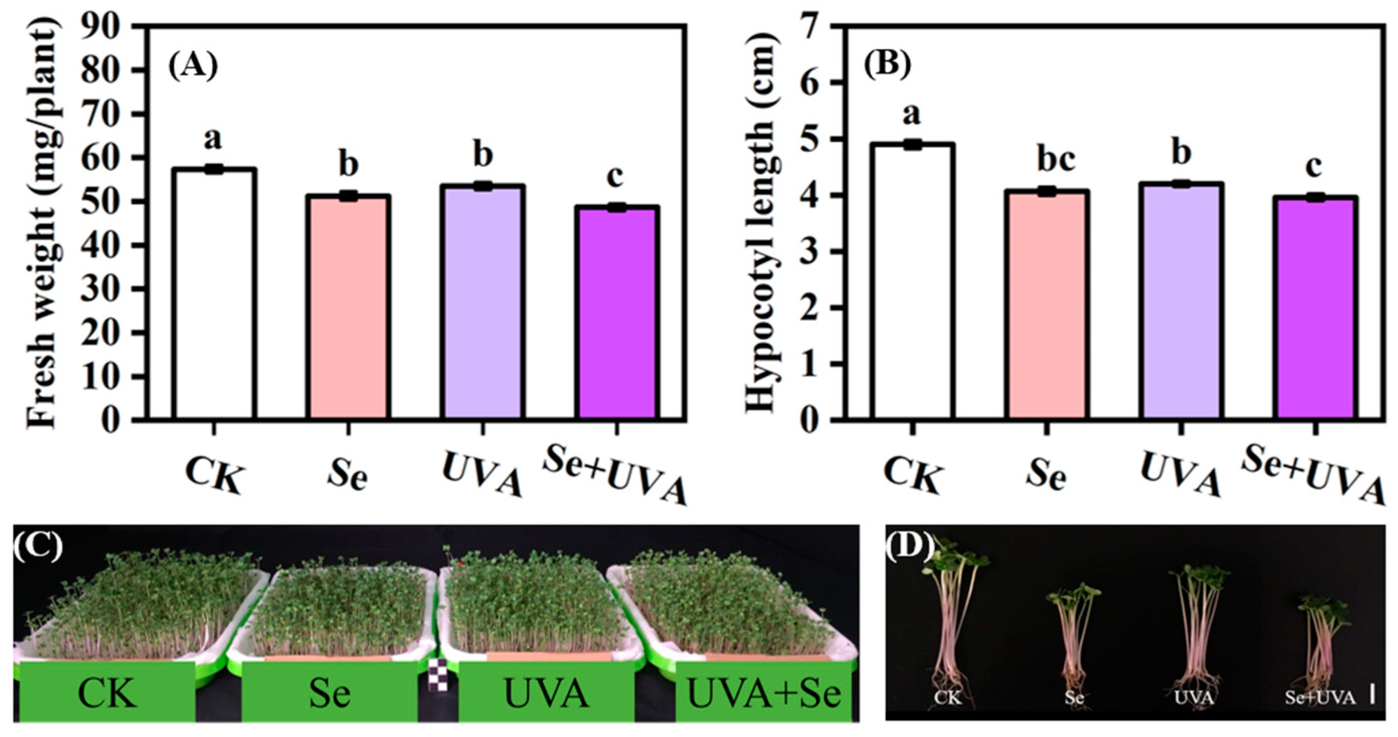 Molecules 26 04646 g001 550