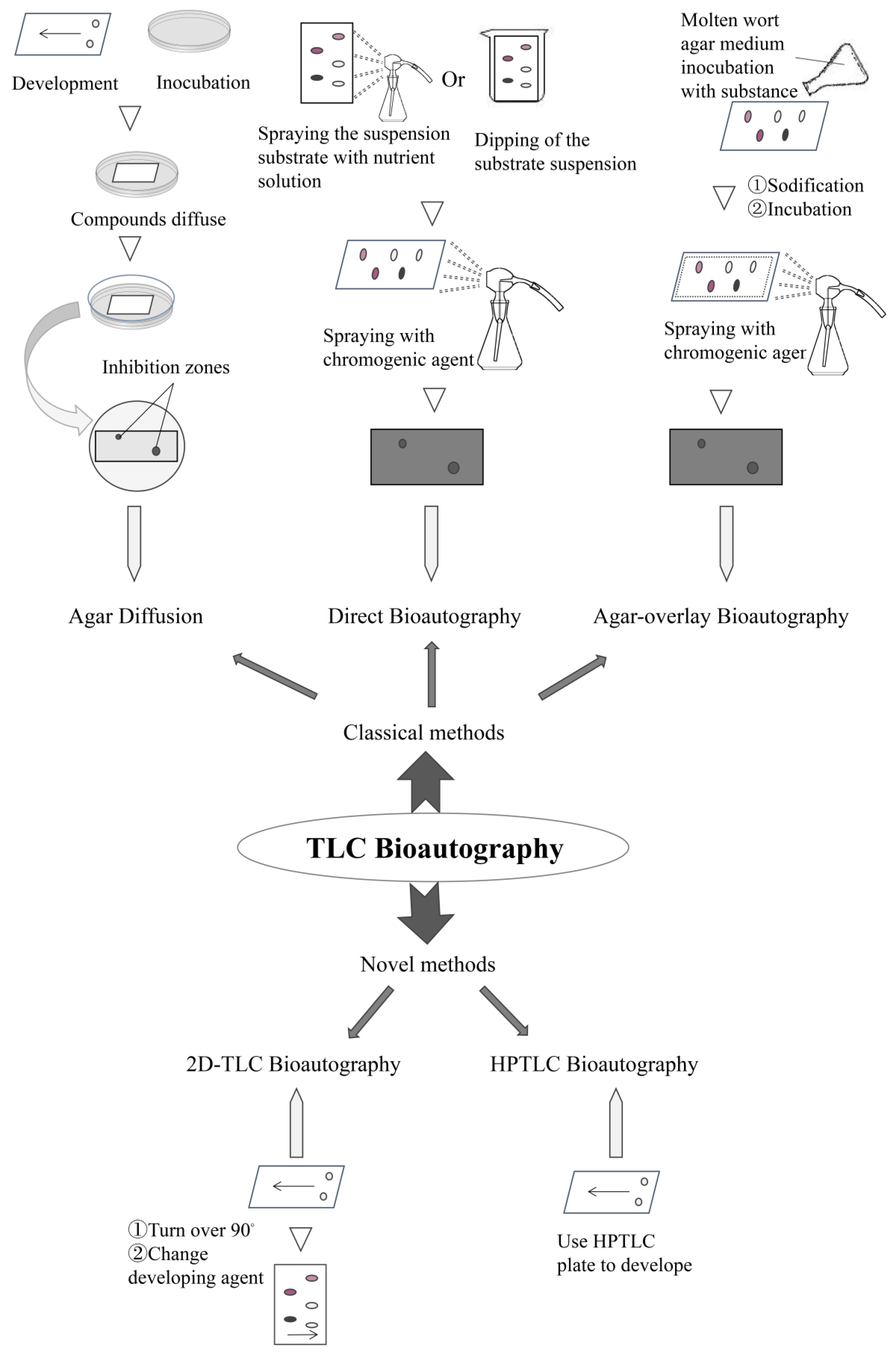 Molecules 26 04647 g002 Molecules 26 04647 g002