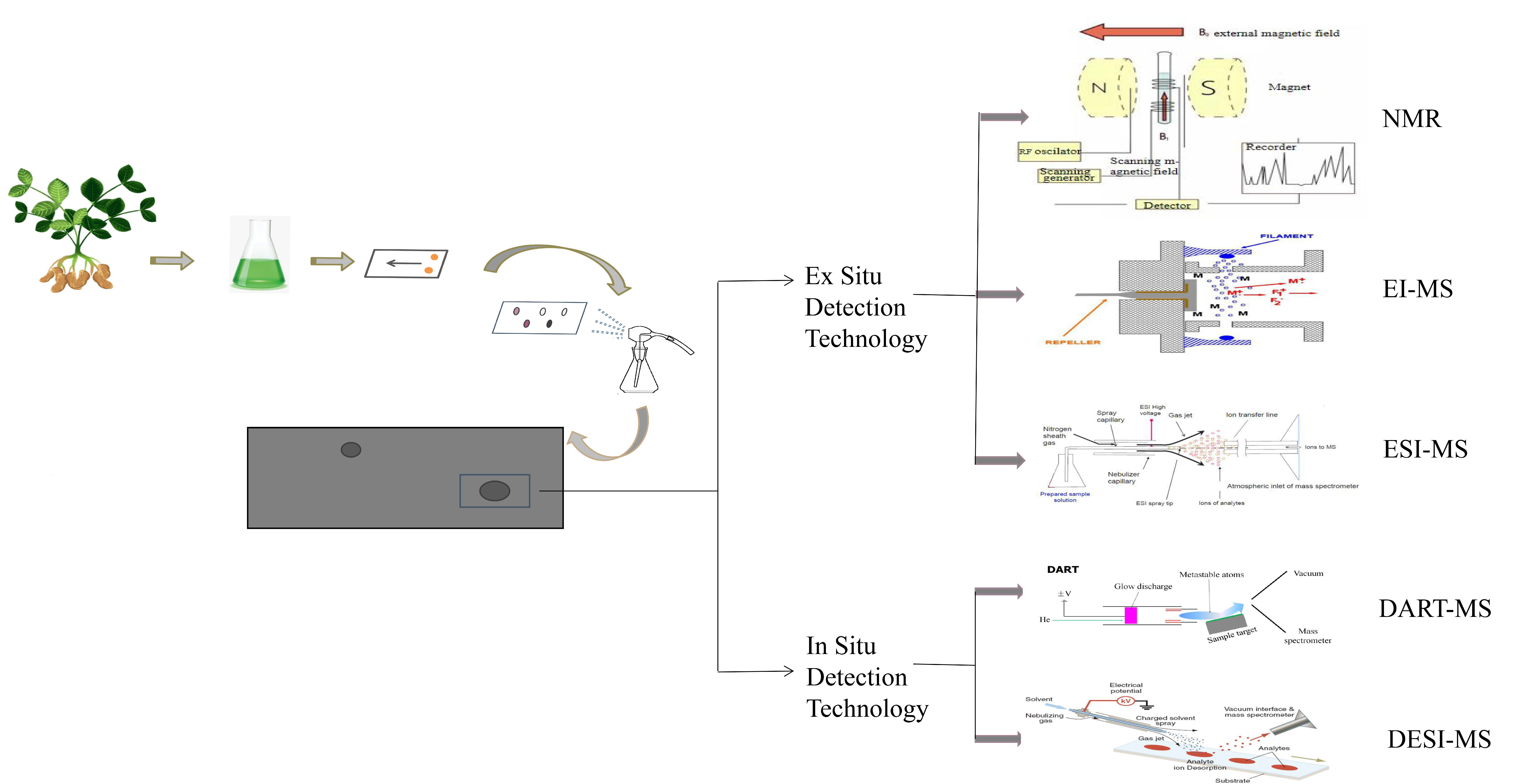Molecules 26 04647 g003 Molecules 26 04647 g003