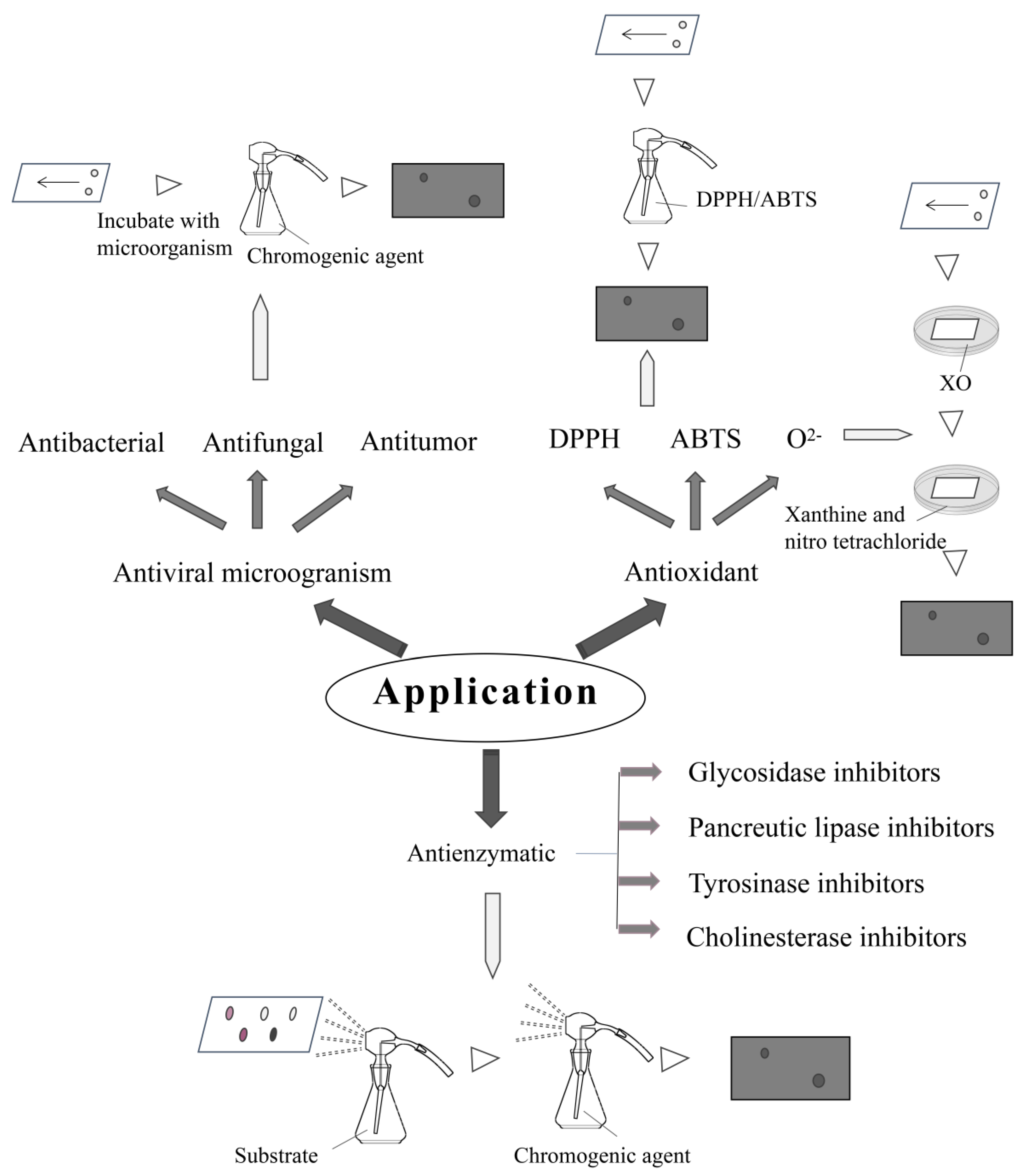 Molecules 26 04647 g004 Molecules 26 04647 g004