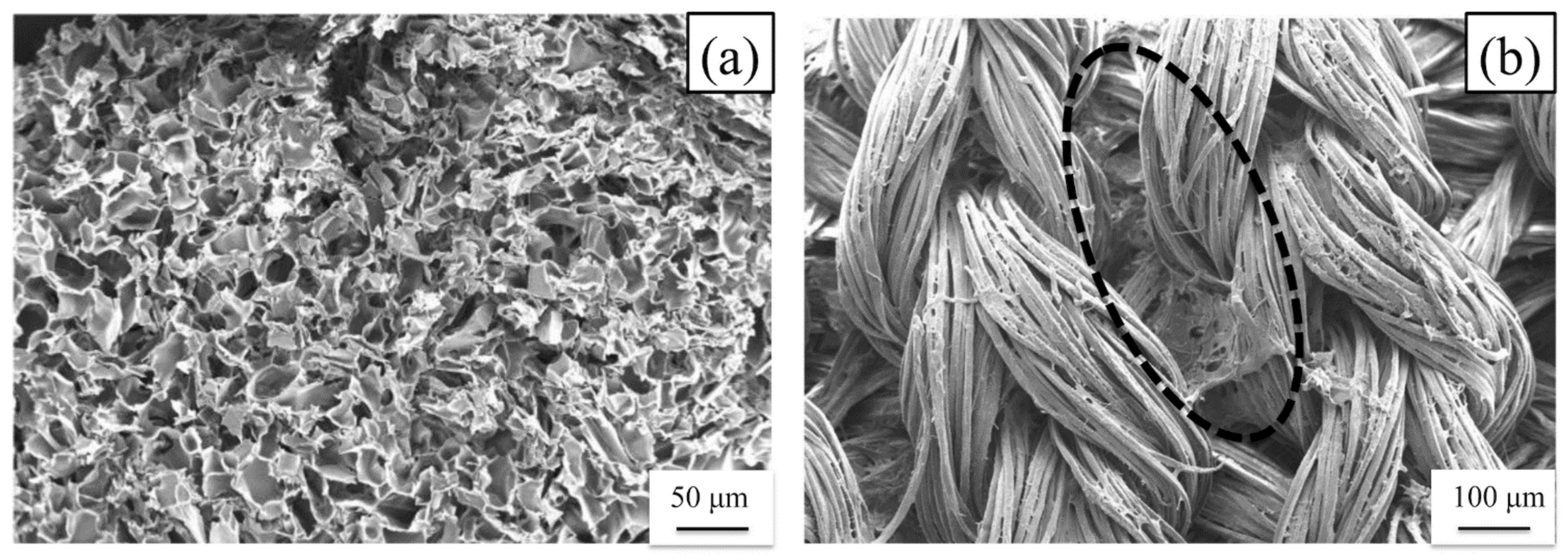 Molecules 26 04649 g007 Molecules 26 04649 g007