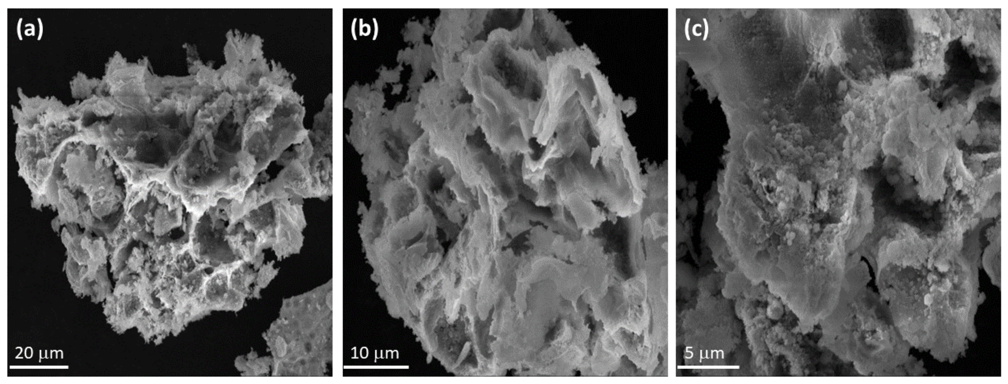 Molecules 26 04661 g004
