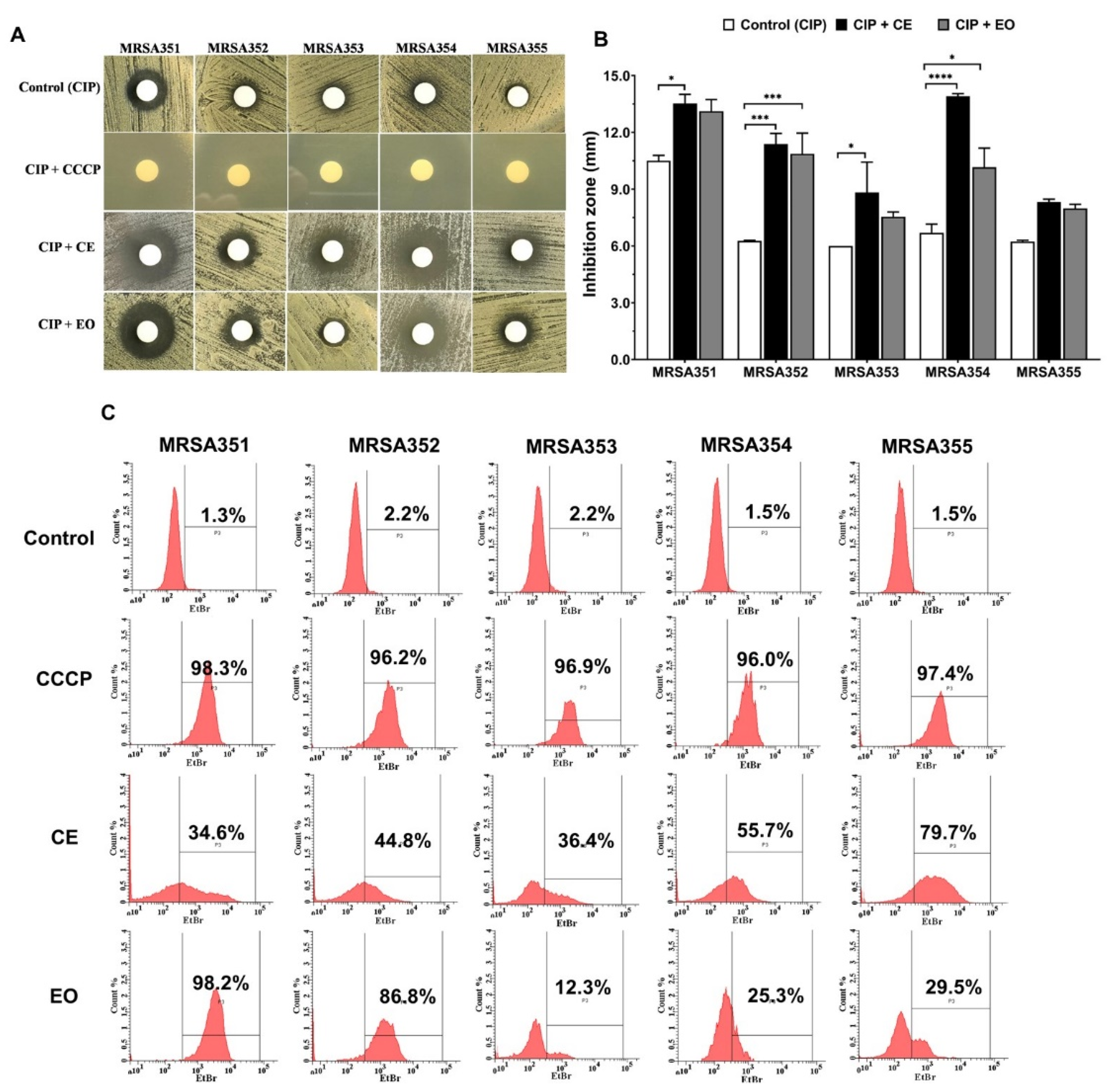 Molecules 26 04662 g003 Molecules 26 04662 g003