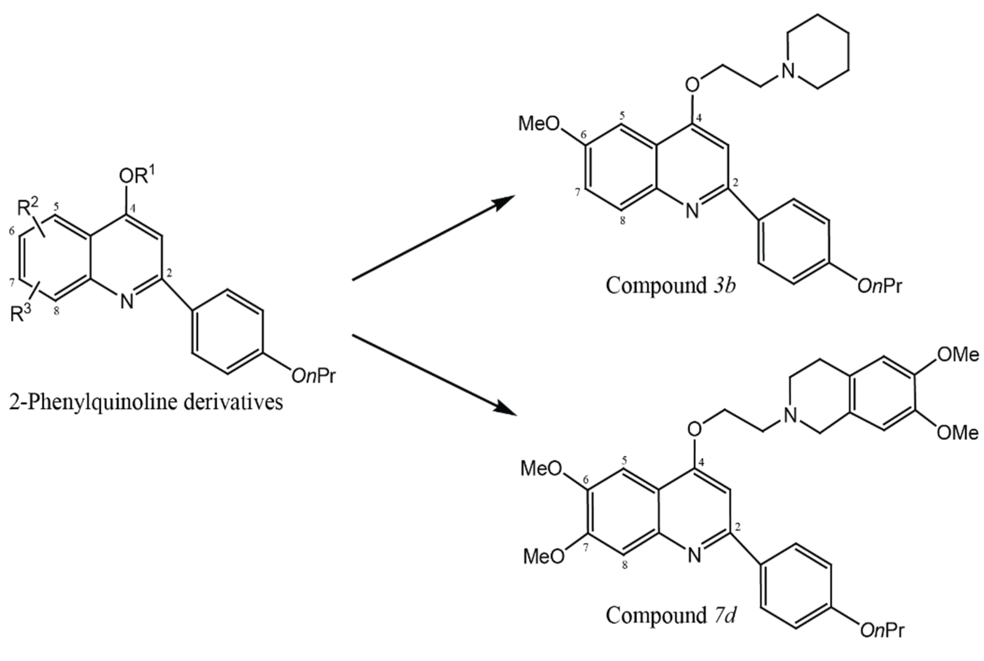 Molecules 26 04662 g006 Molecules 26 04662 g006