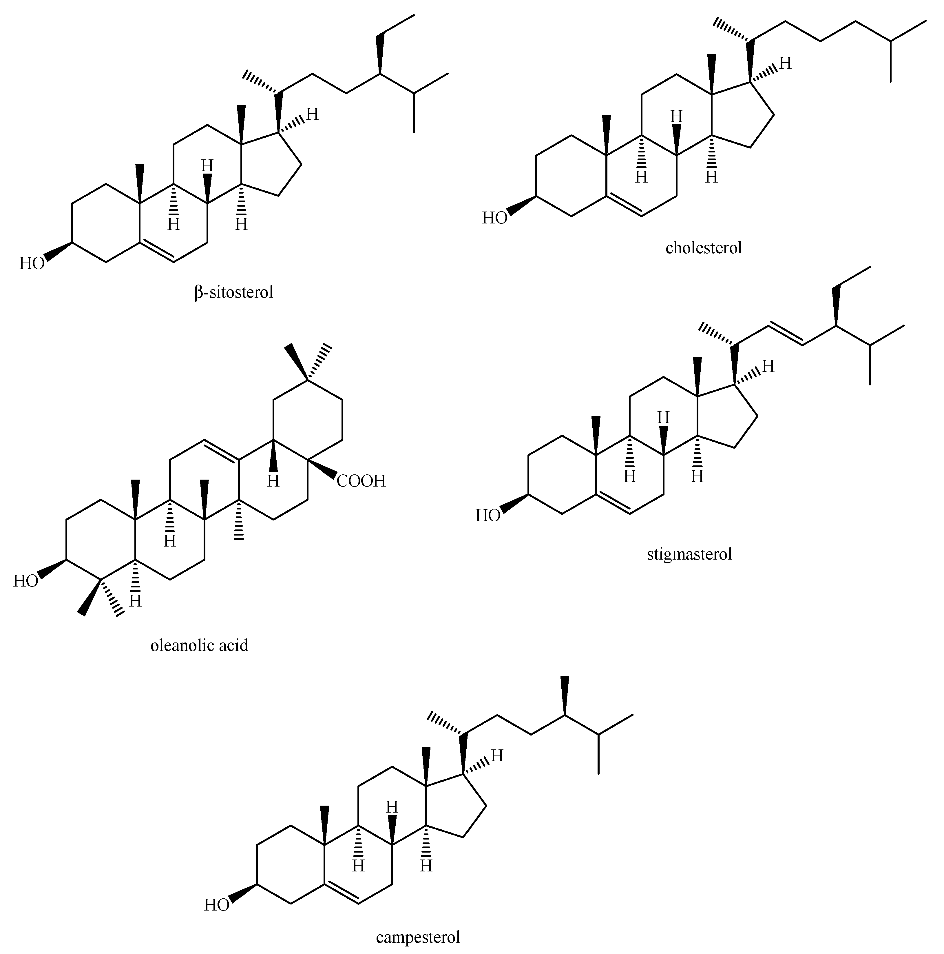 Molecules 26 04664 g002 Molecules 26 04664 g002