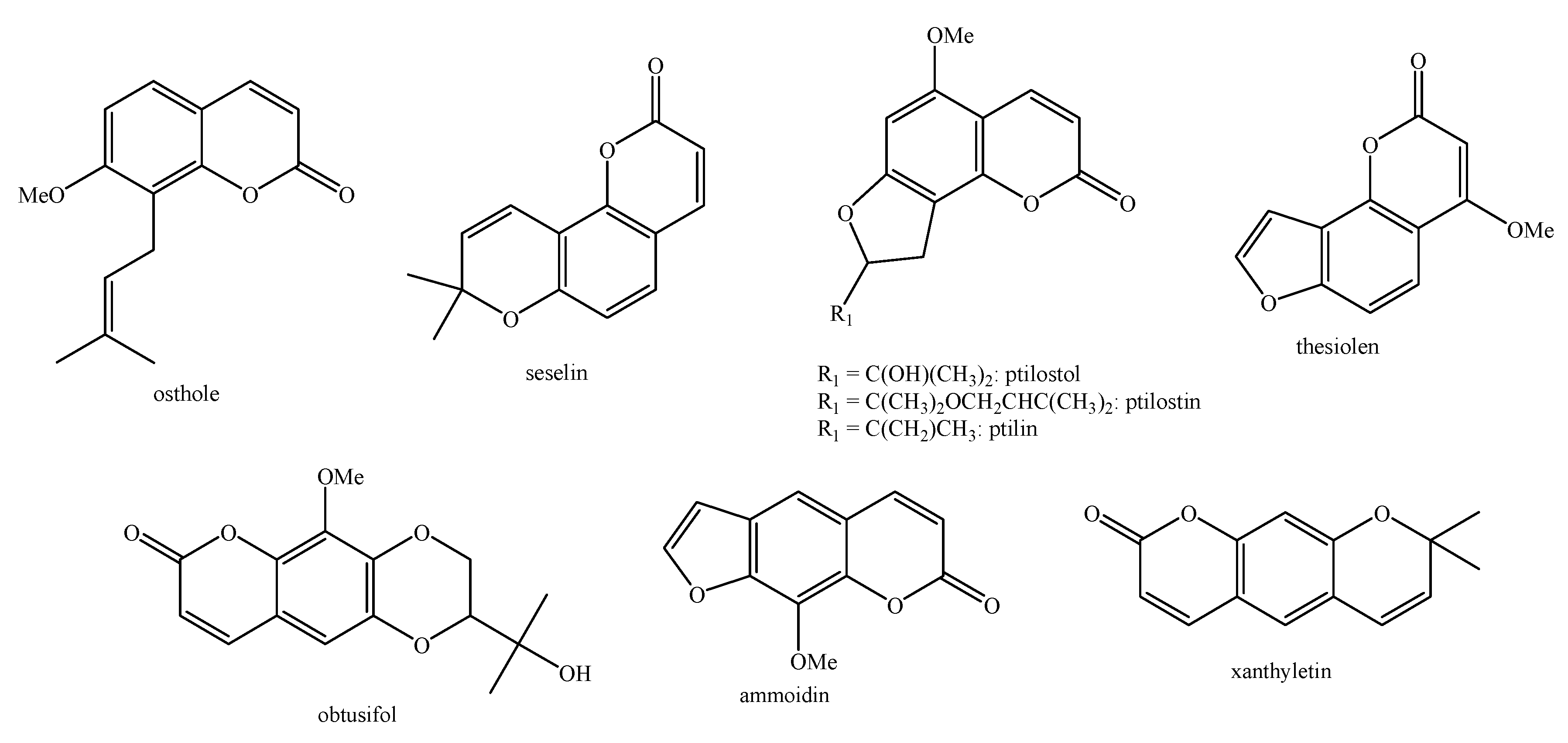 Molecules 26 04664 g003 Molecules 26 04664 g003