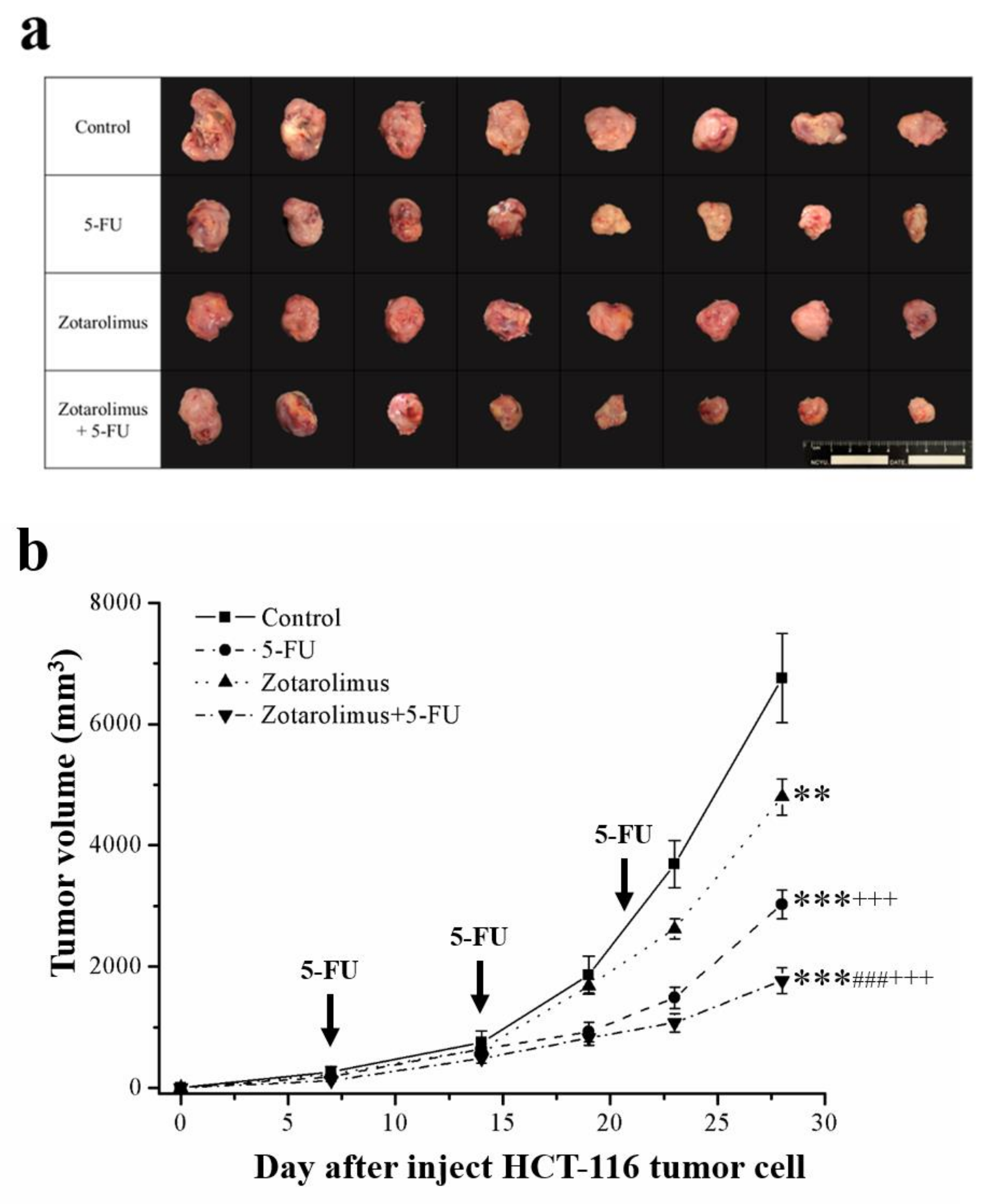 Molecules 26 04683 g001