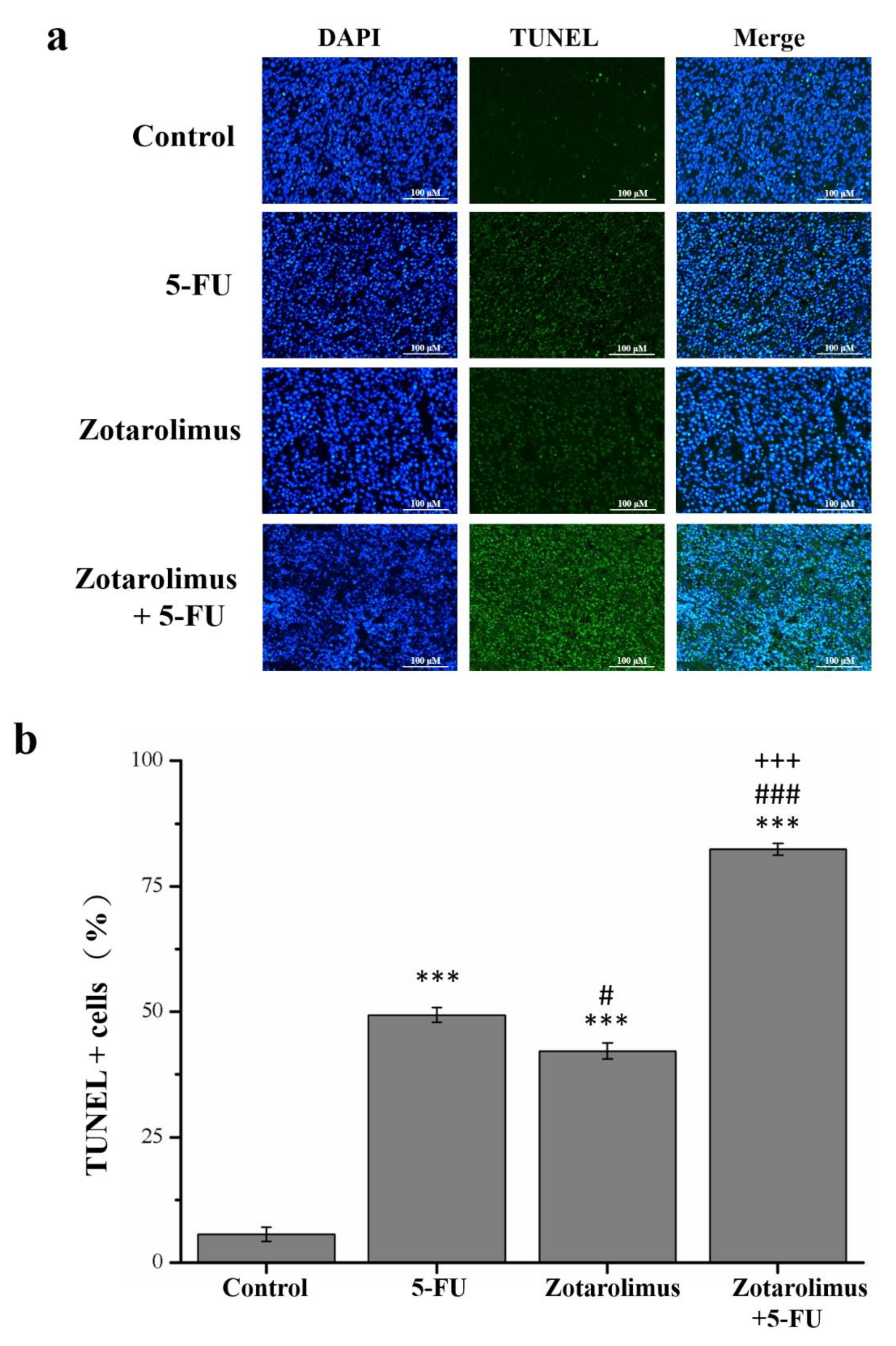 Molecules 26 04683 g002