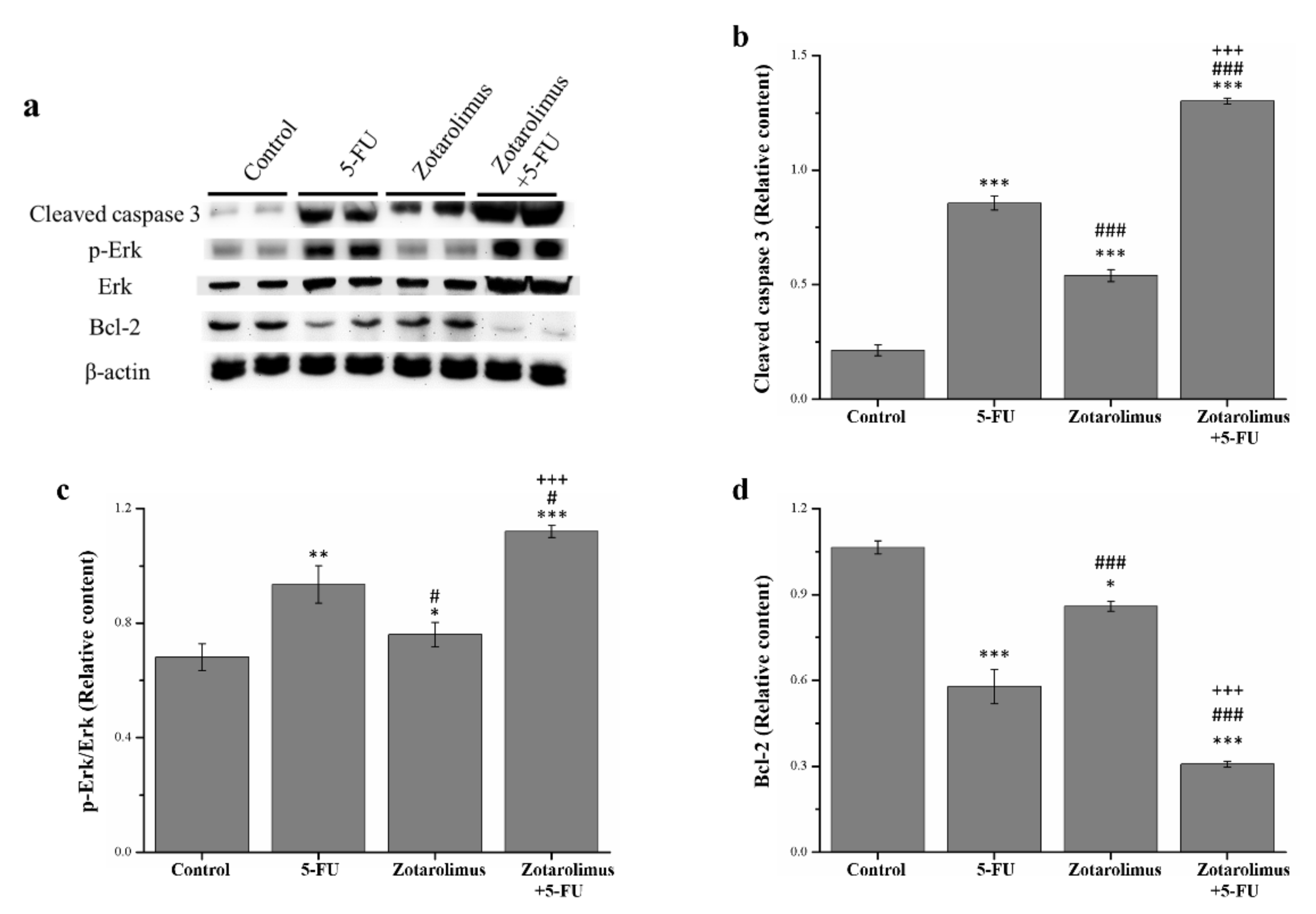Molecules 26 04683 g003
