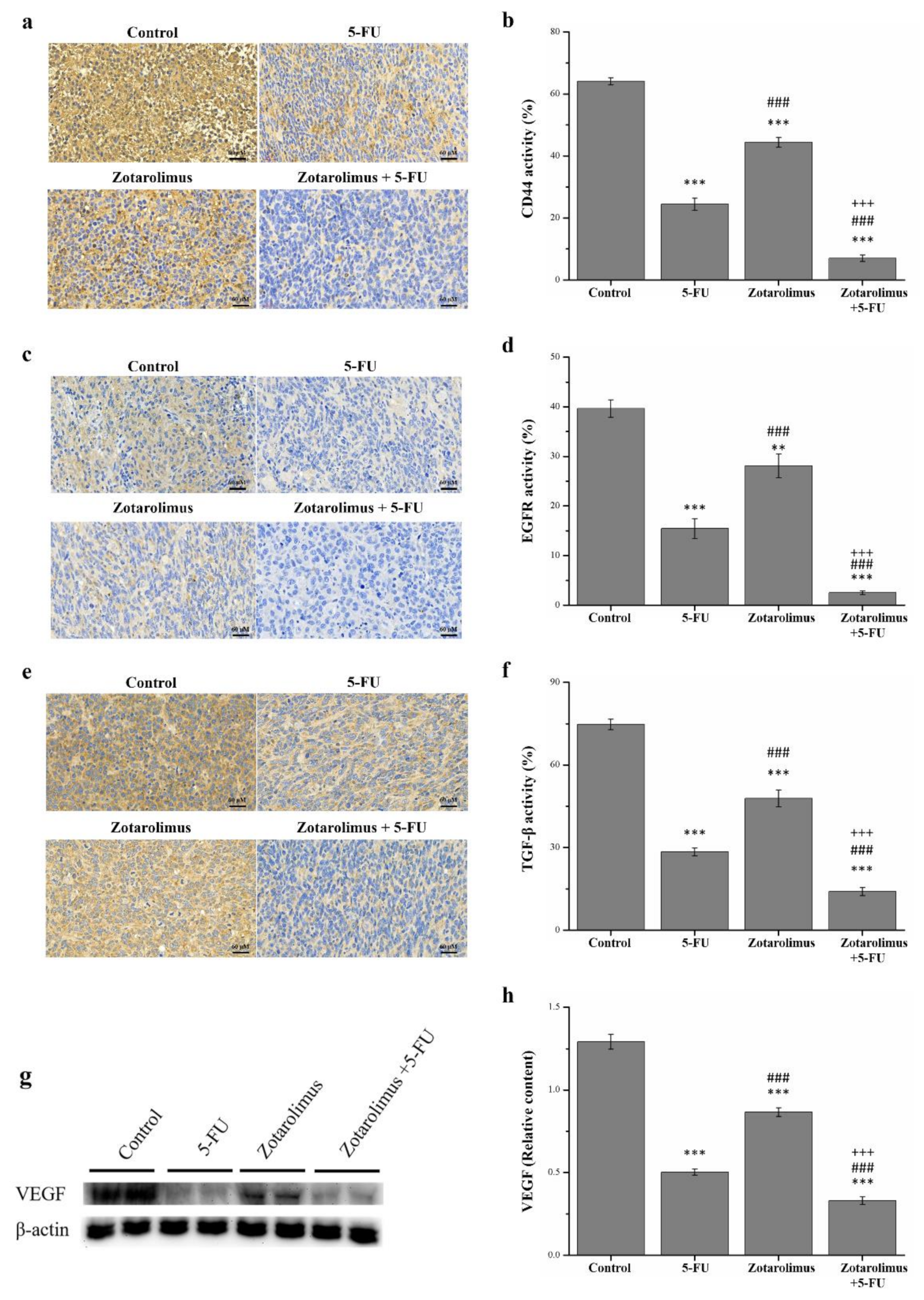Molecules 26 04683 g005