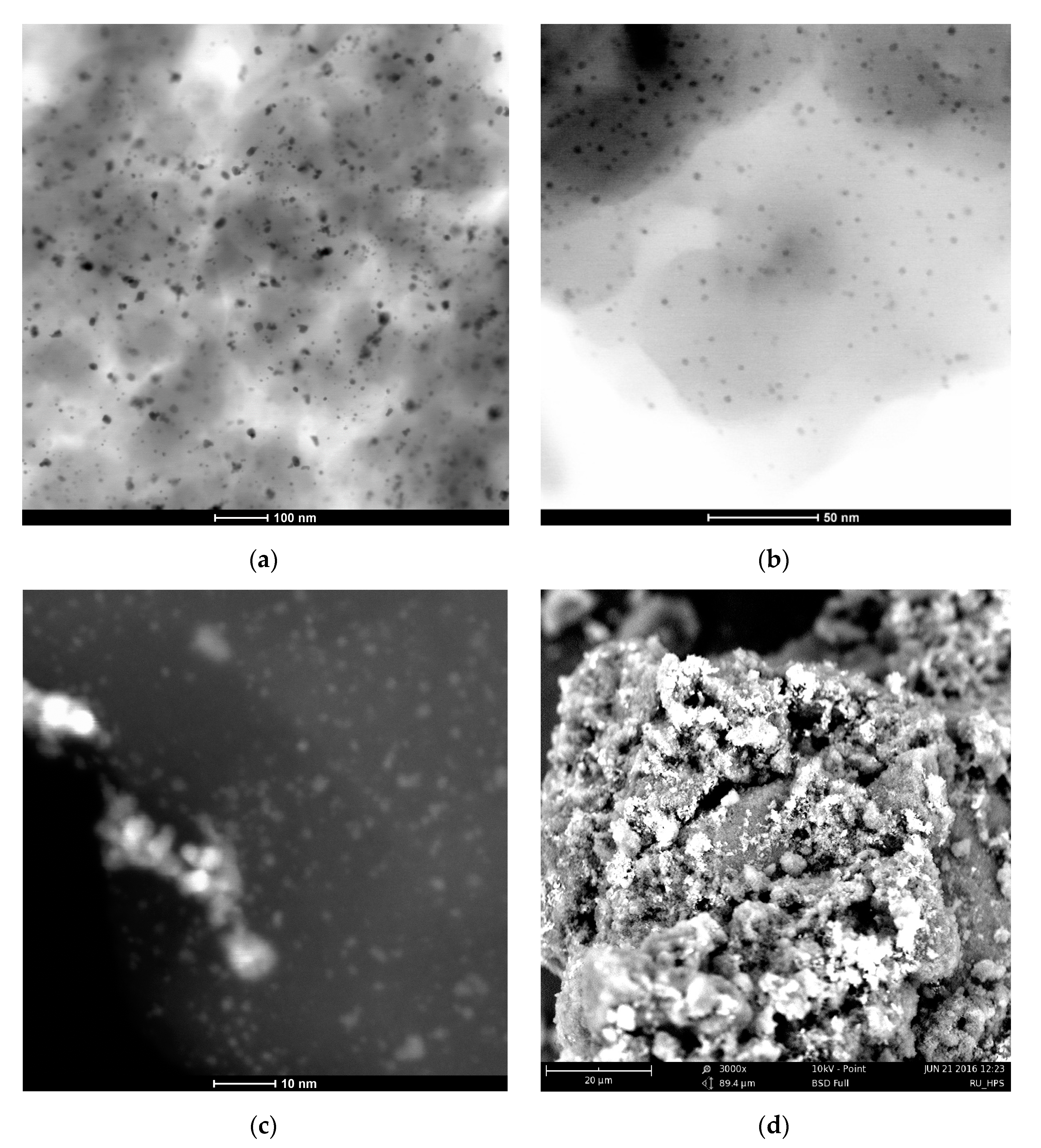 Molecules 26 04687 g014 550