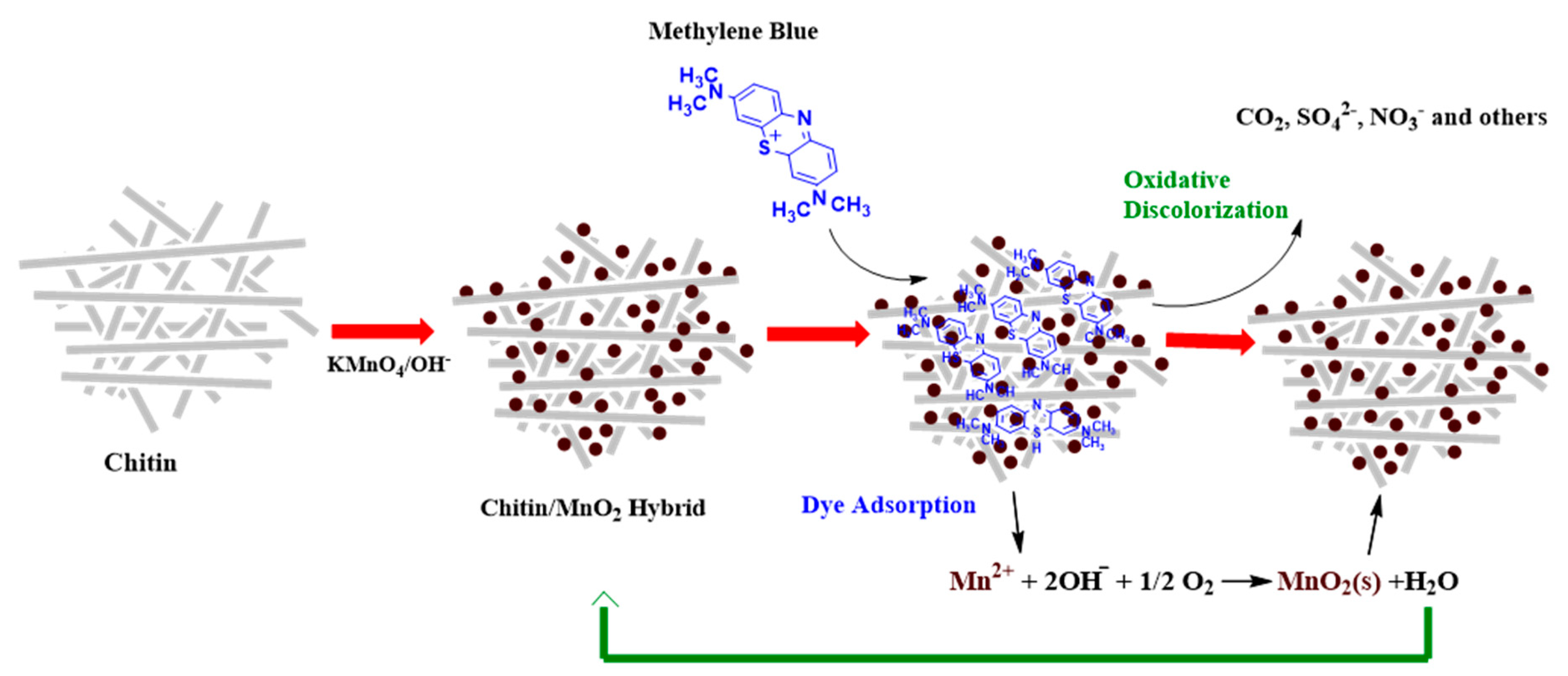 Molecules 26 04697 sch002