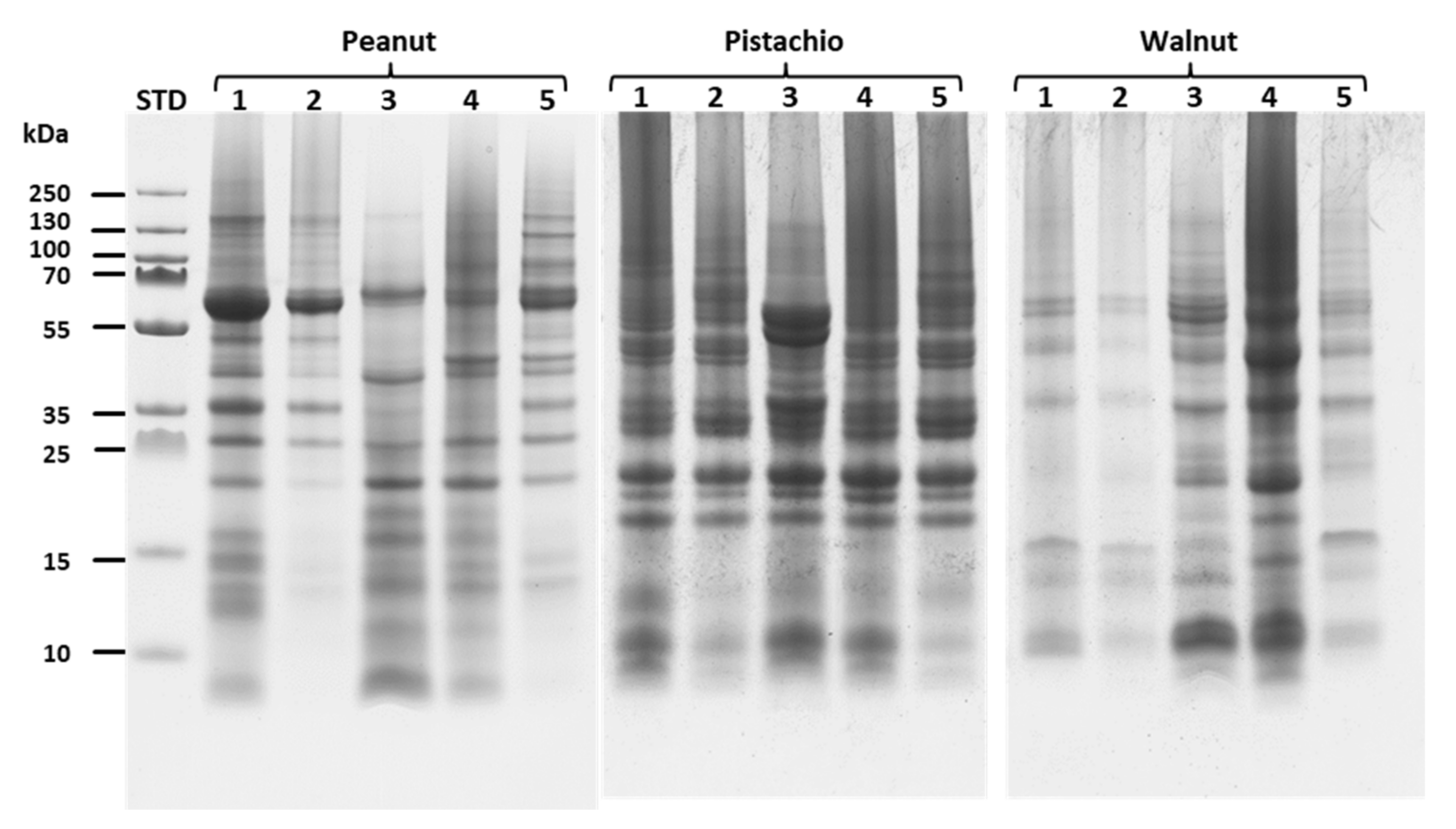 Molecules 26 04698 g002 550