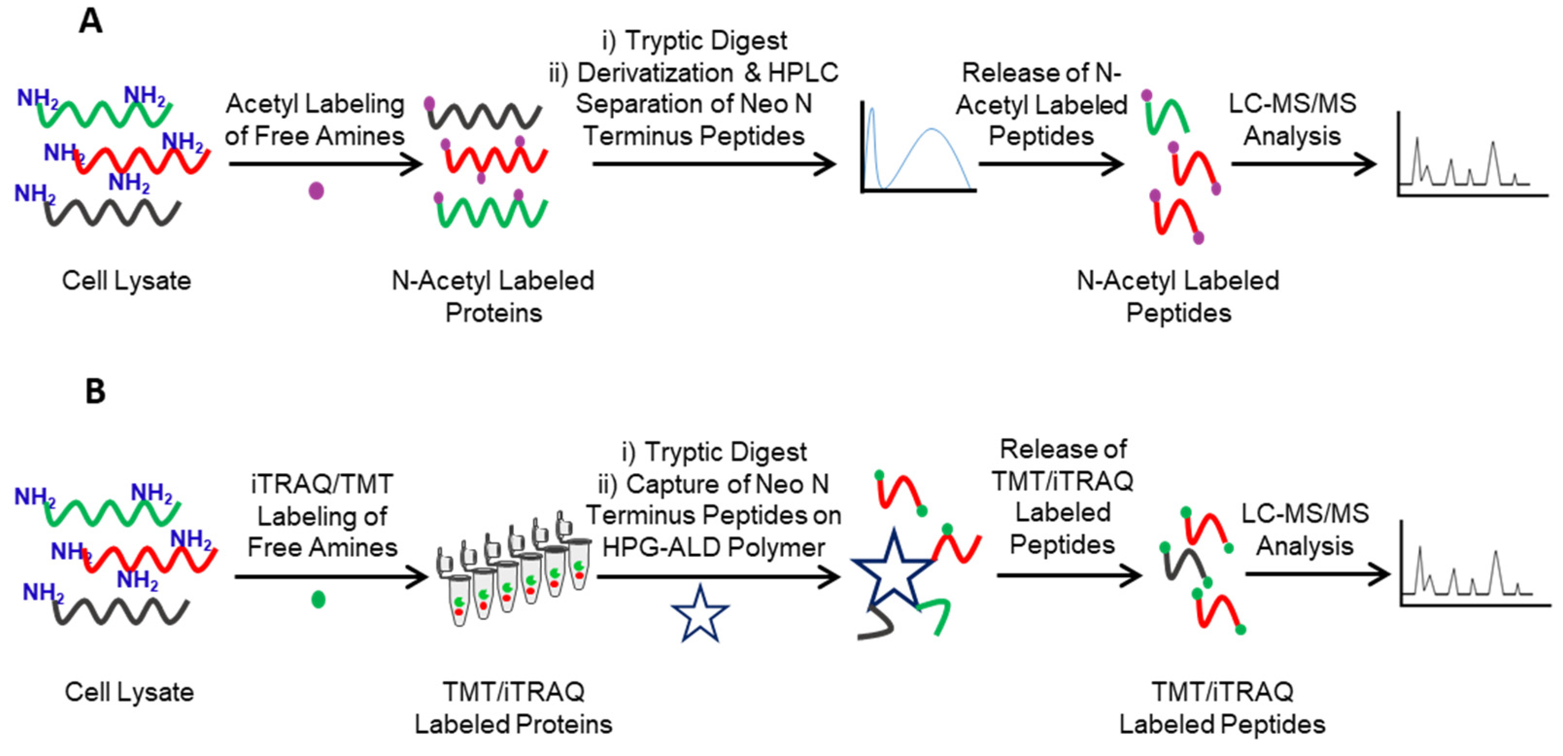 Molecules 26 04699 g003 550