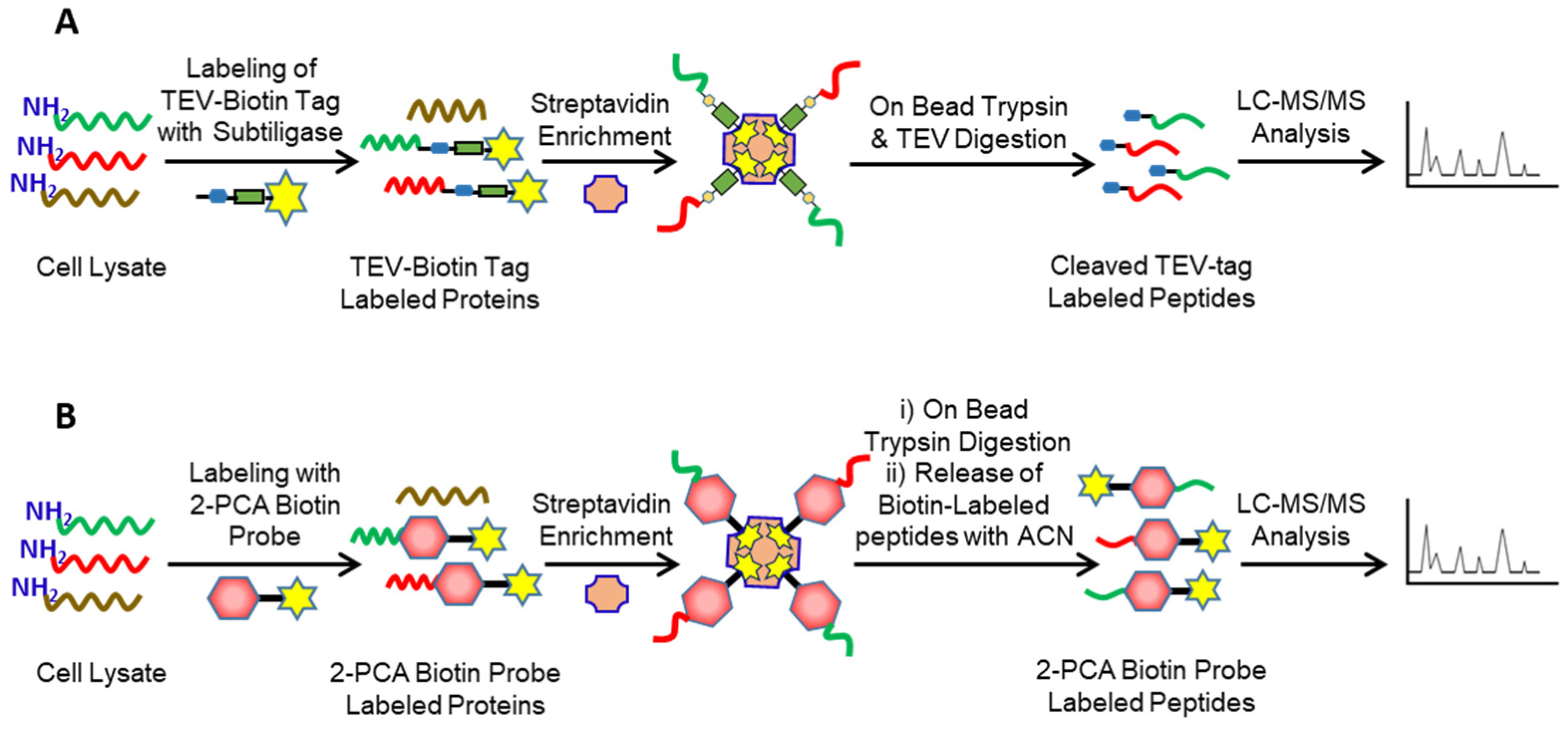 Molecules 26 04699 g004 550