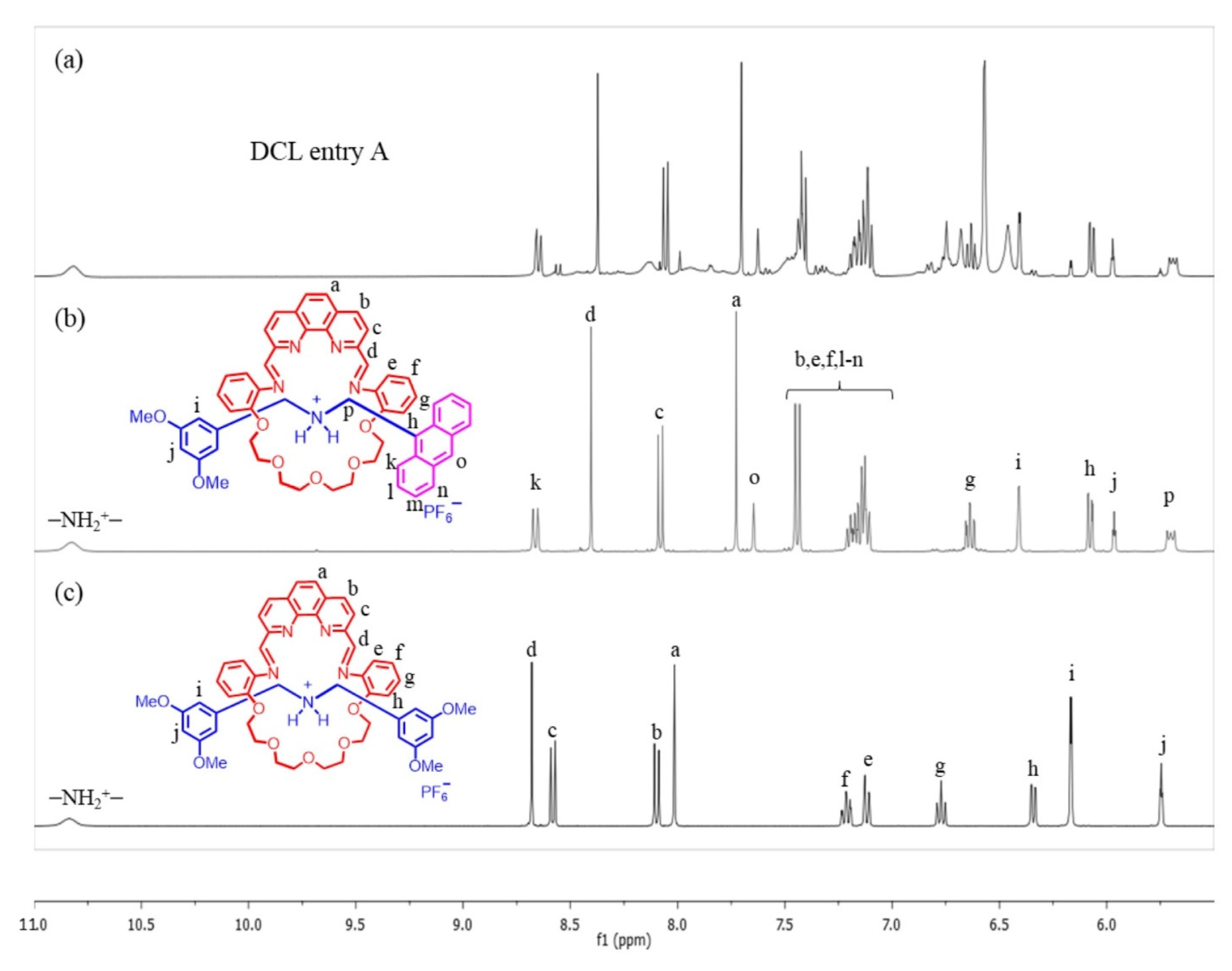 Molecules 26 04704 g001