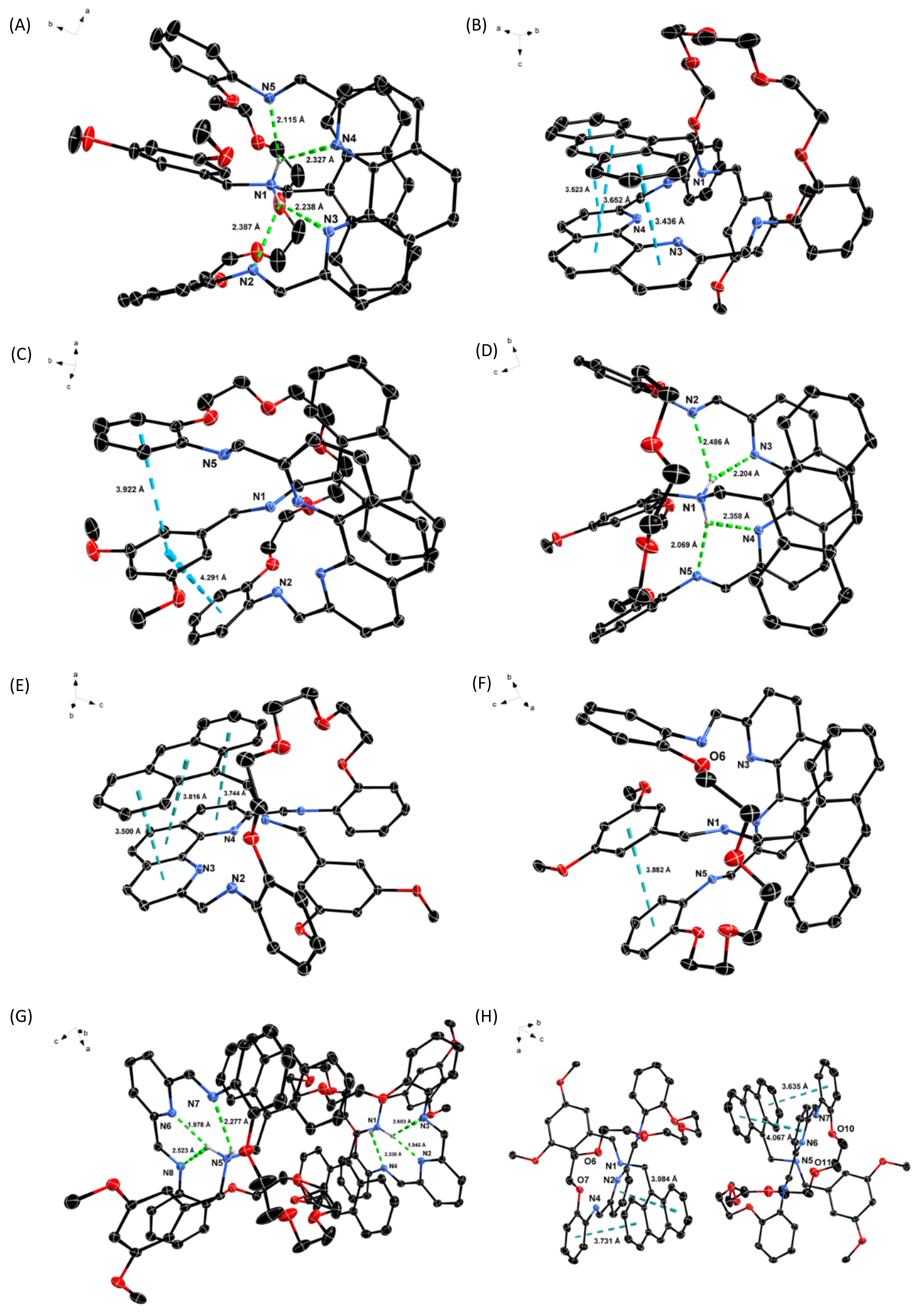 Molecules 26 04704 g002