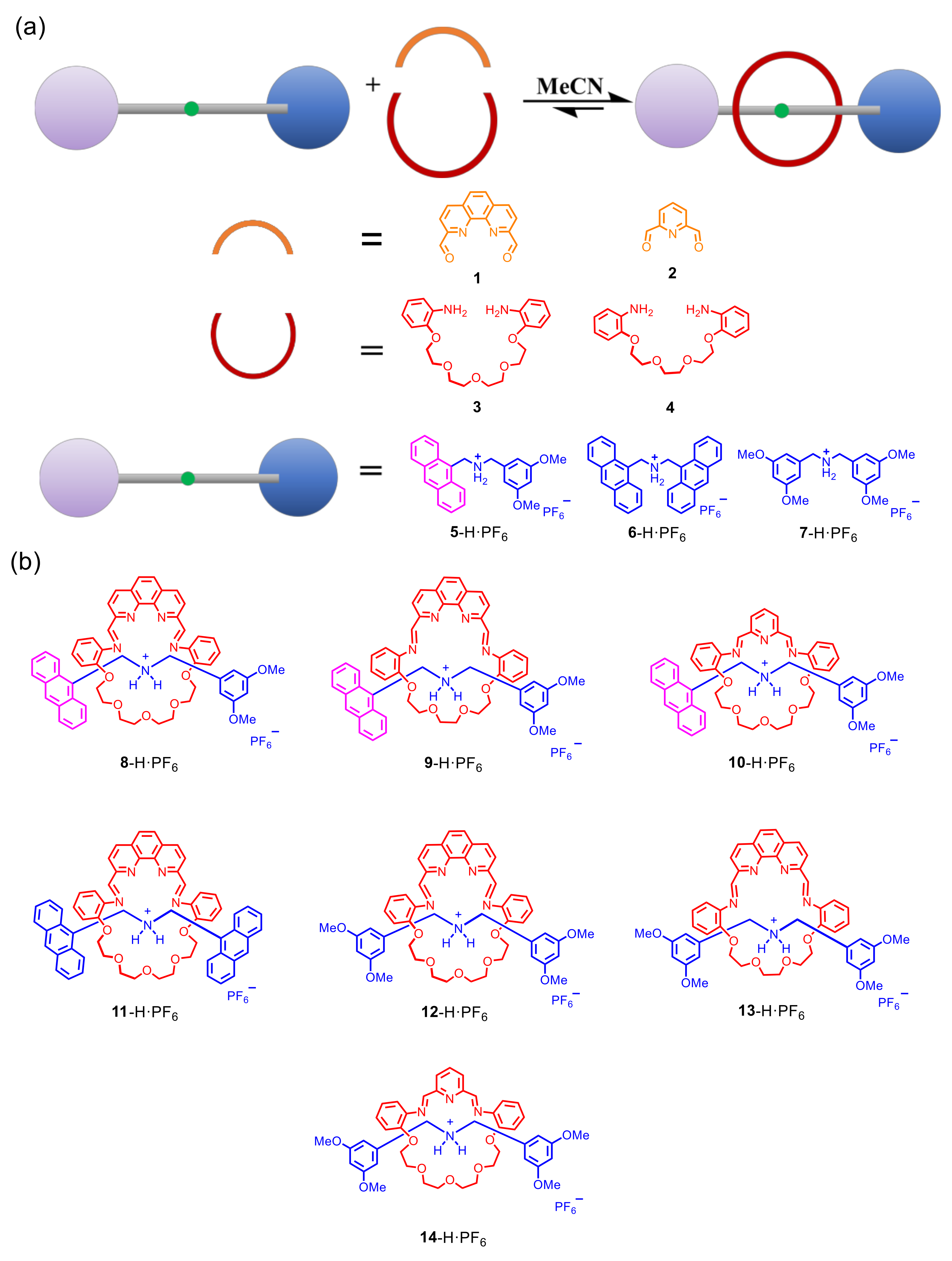 Molecules 26 04704 sch001