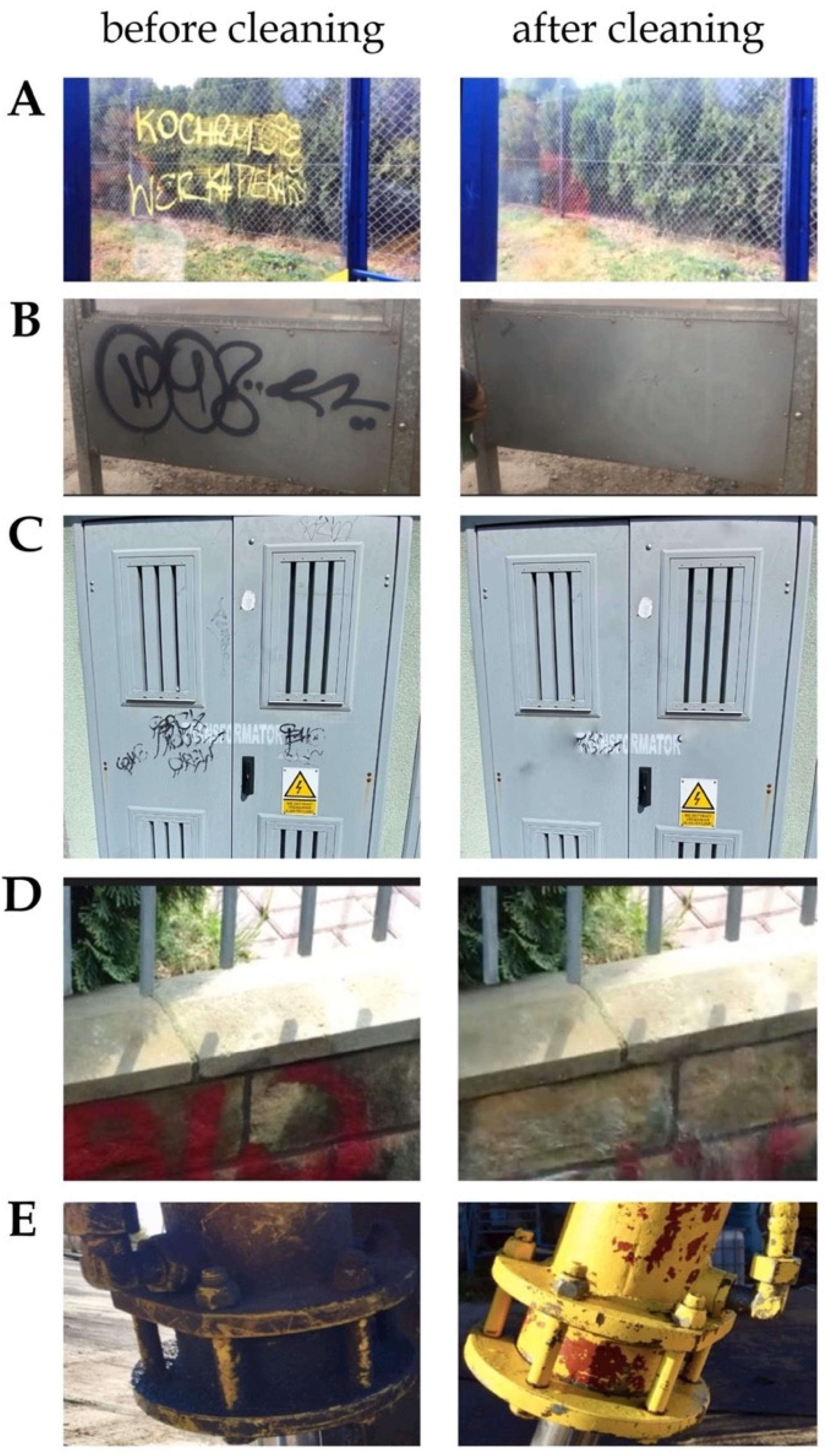 Molecules 26 04706 g008
