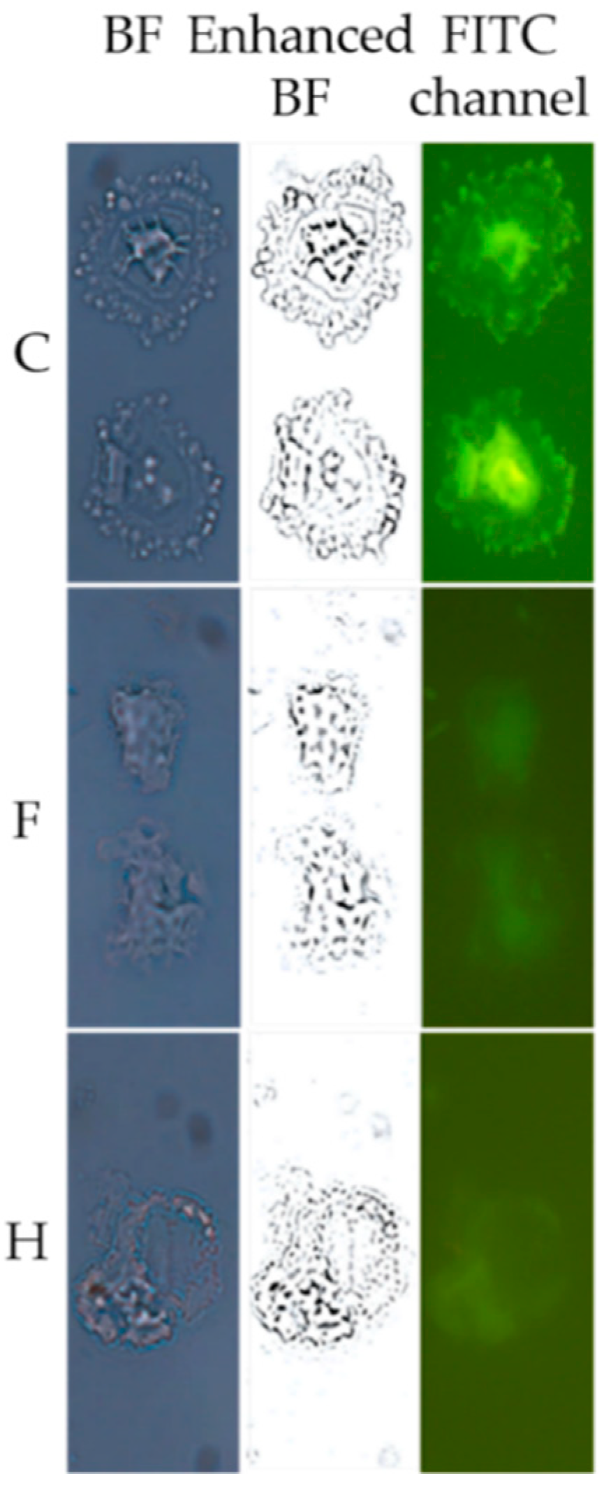 Molecules 26 04708 g006