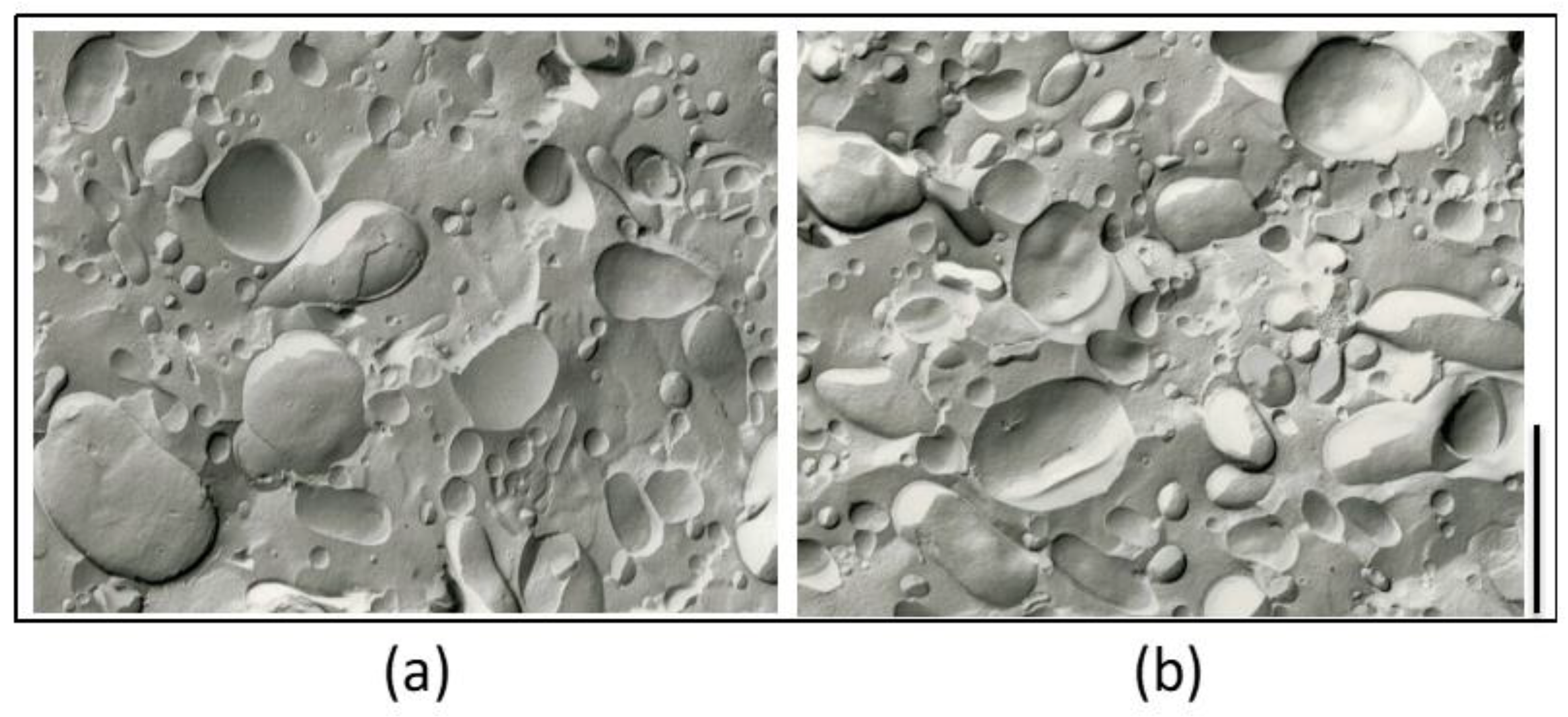 Molecules 26 04709 g002