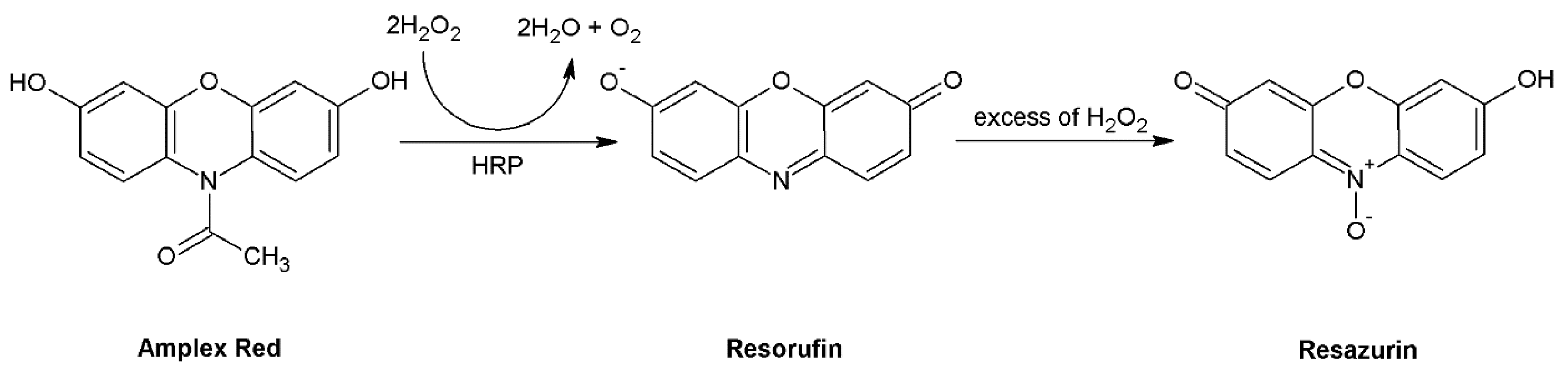 Molecules 26 04710 g005 Molecules 26 04710 g005
