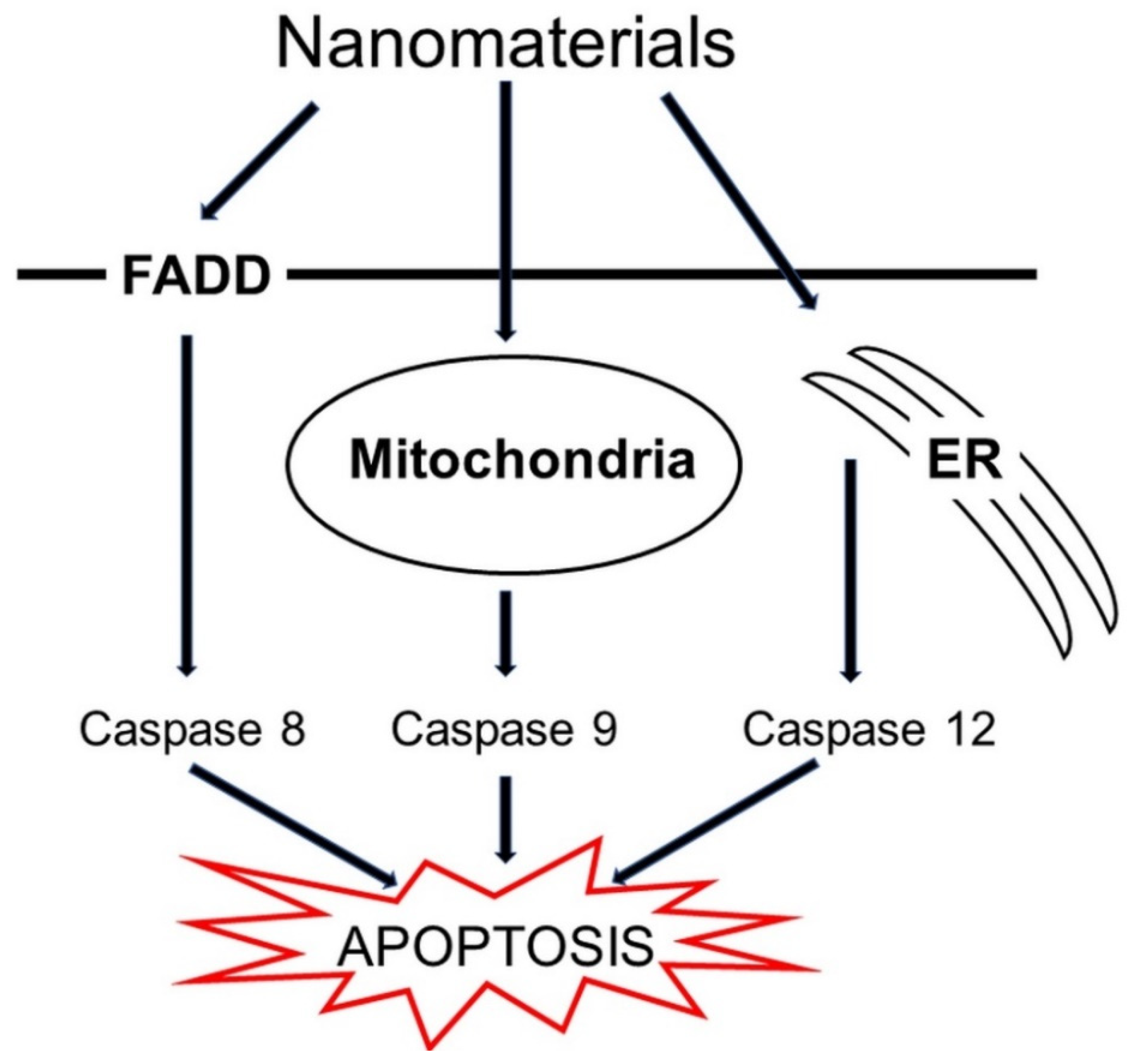 Molecules 26 04710 g006 Molecules 26 04710 g006