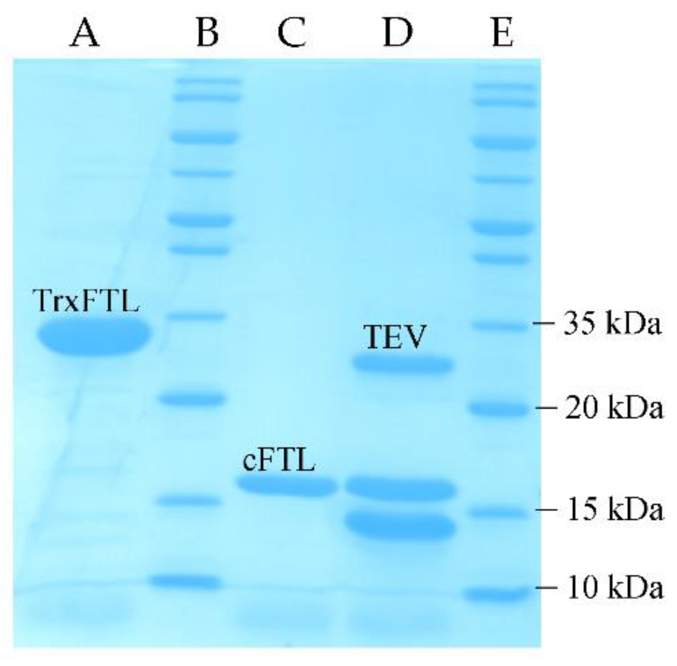 Molecules 26 04712 g002