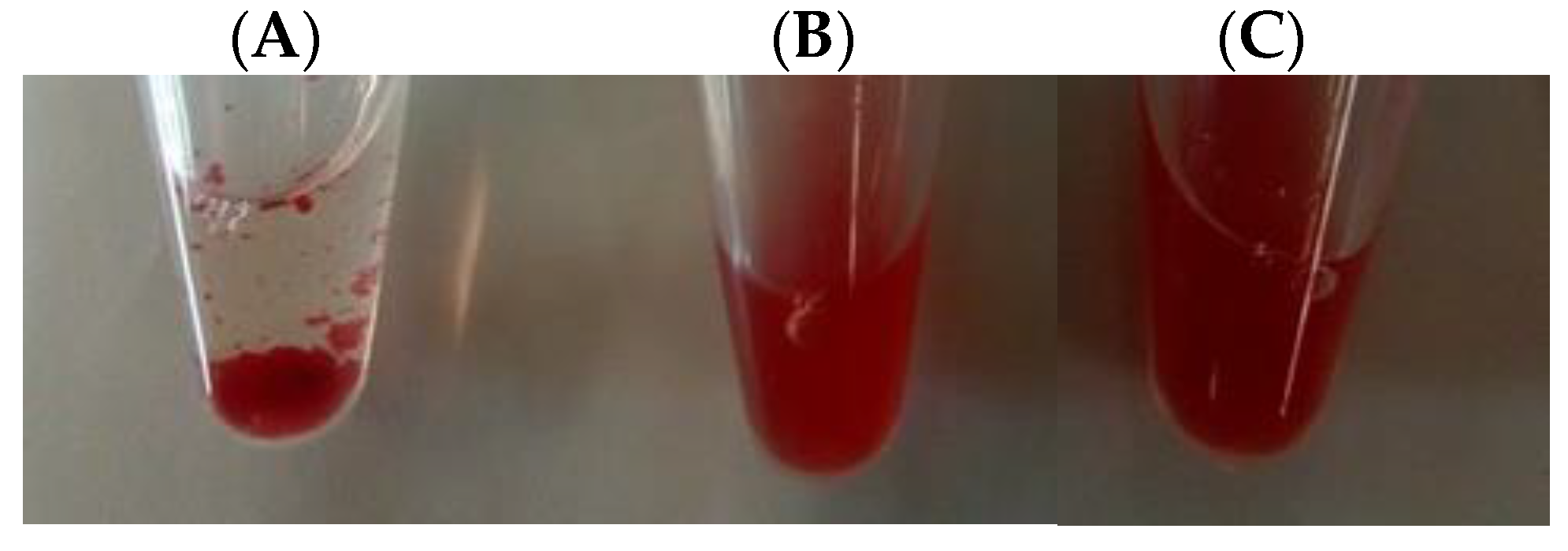 Molecules 26 04712 g004