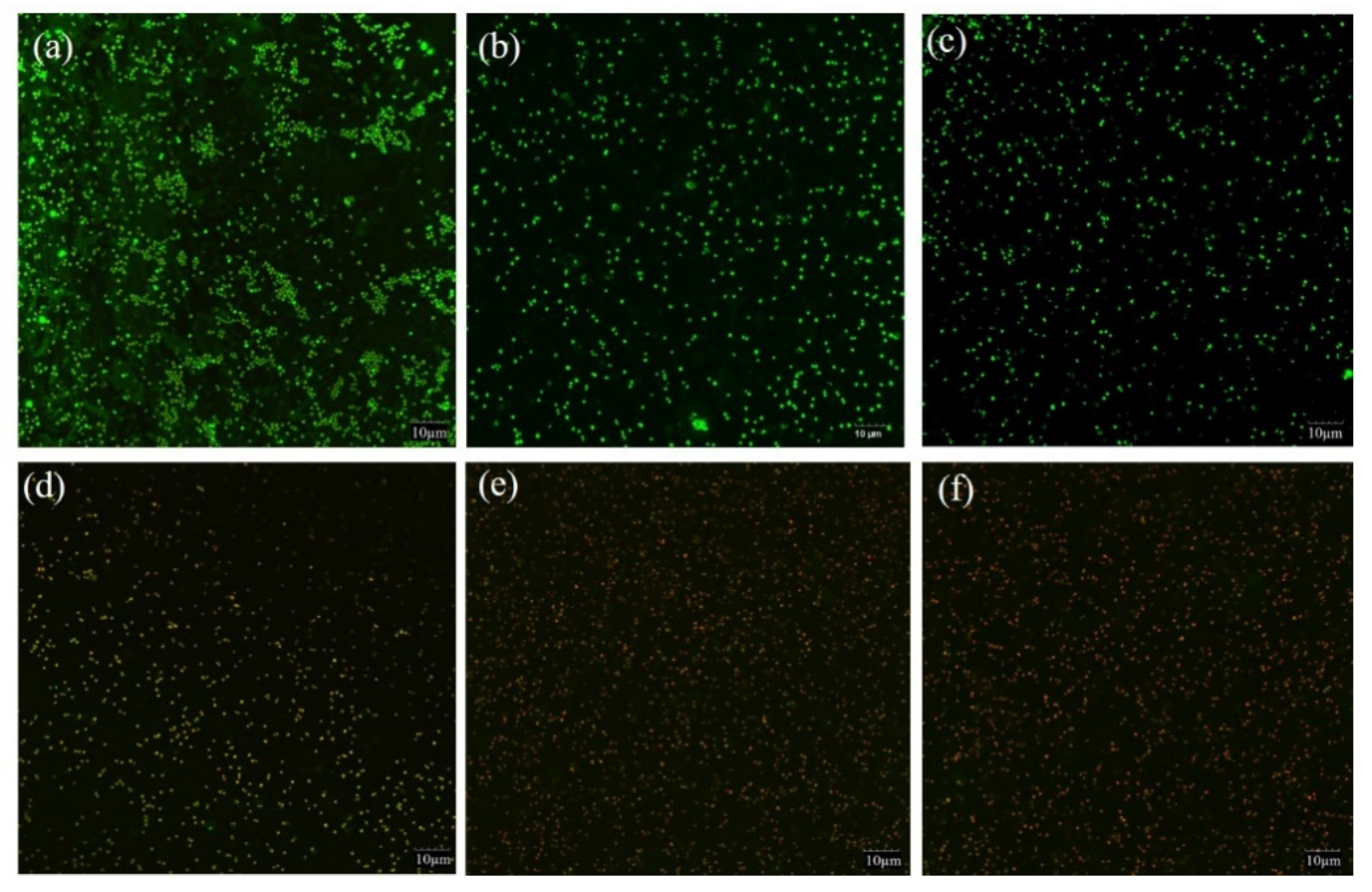 Molecules 26 04713 g004 Molecules 26 04713 g004