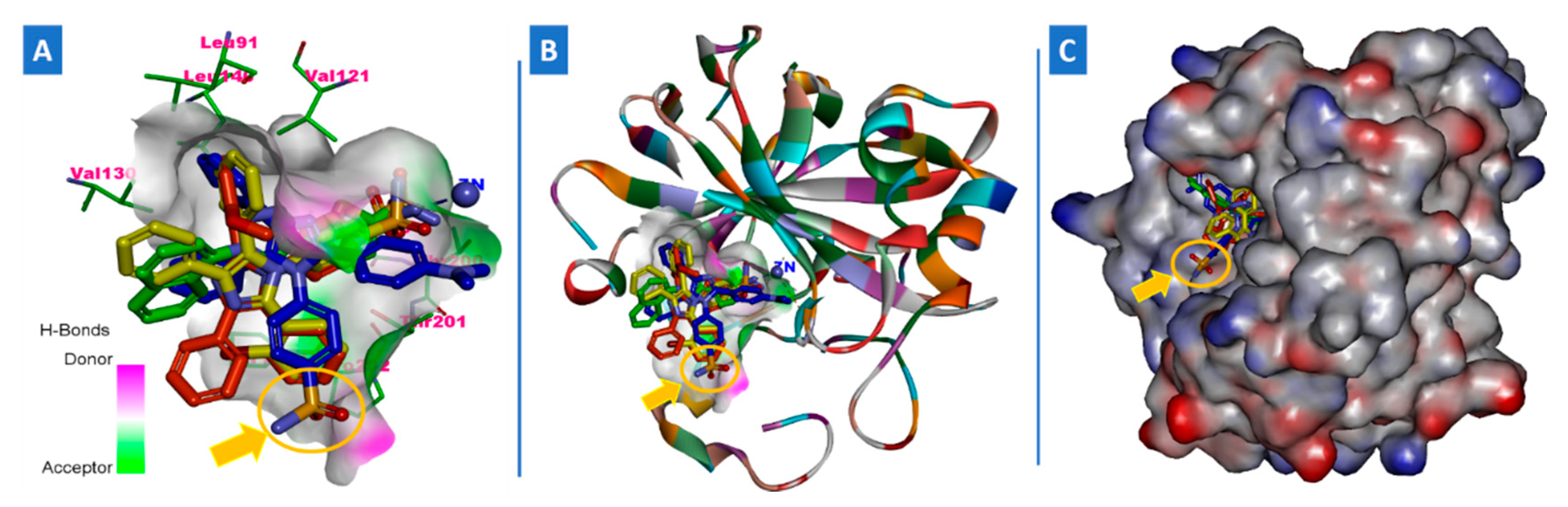 Molecules 26 04718 g006