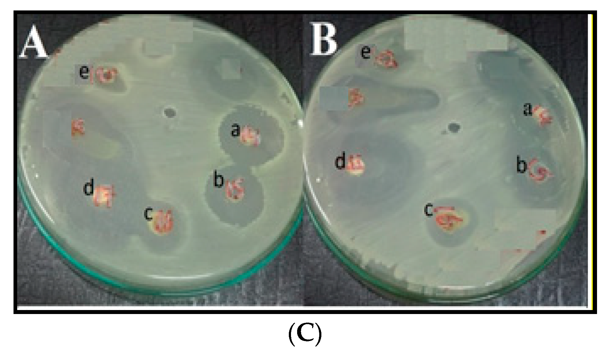 Molecules 26 04725 g010b 550