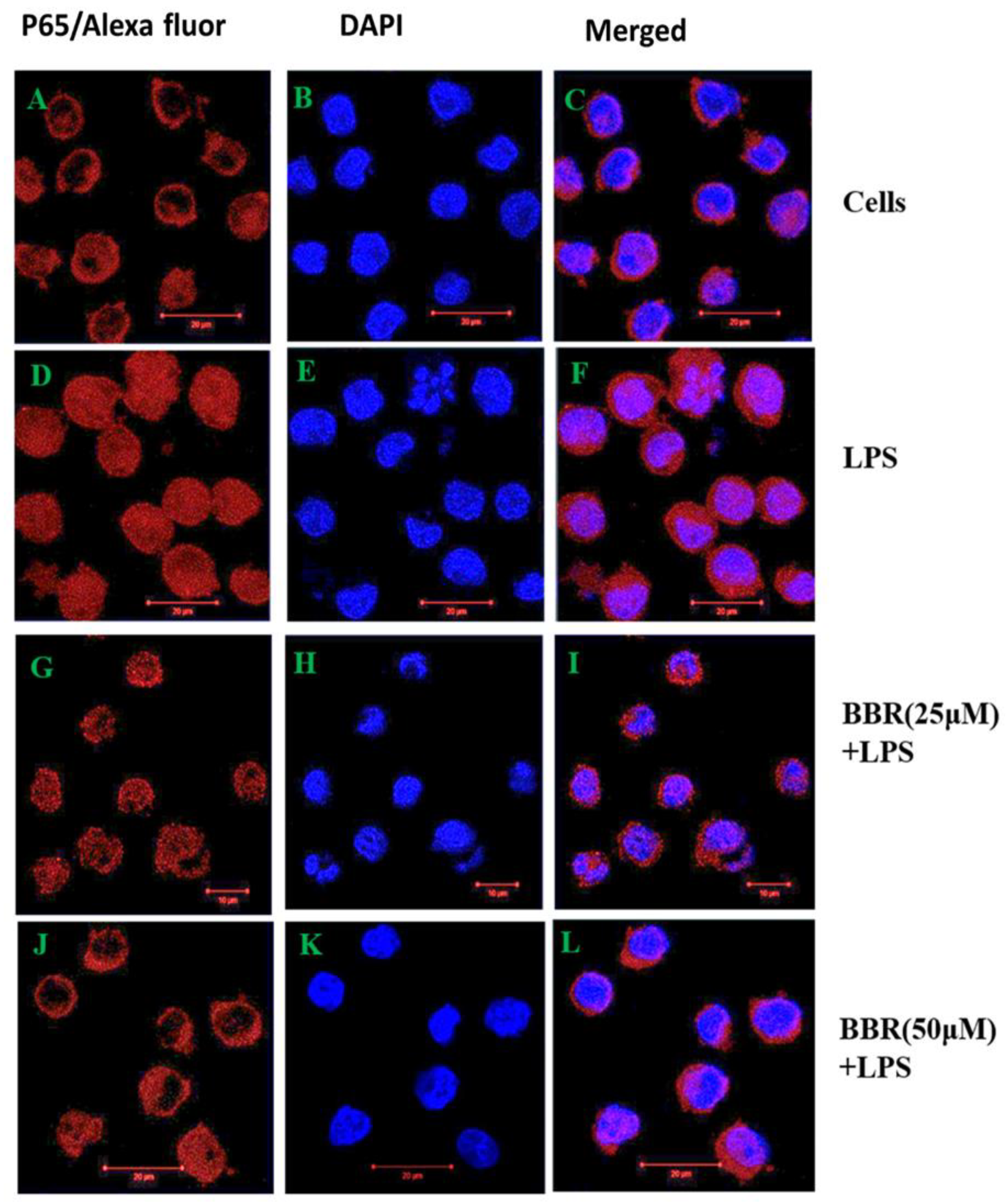 Molecules 26 04733 g005