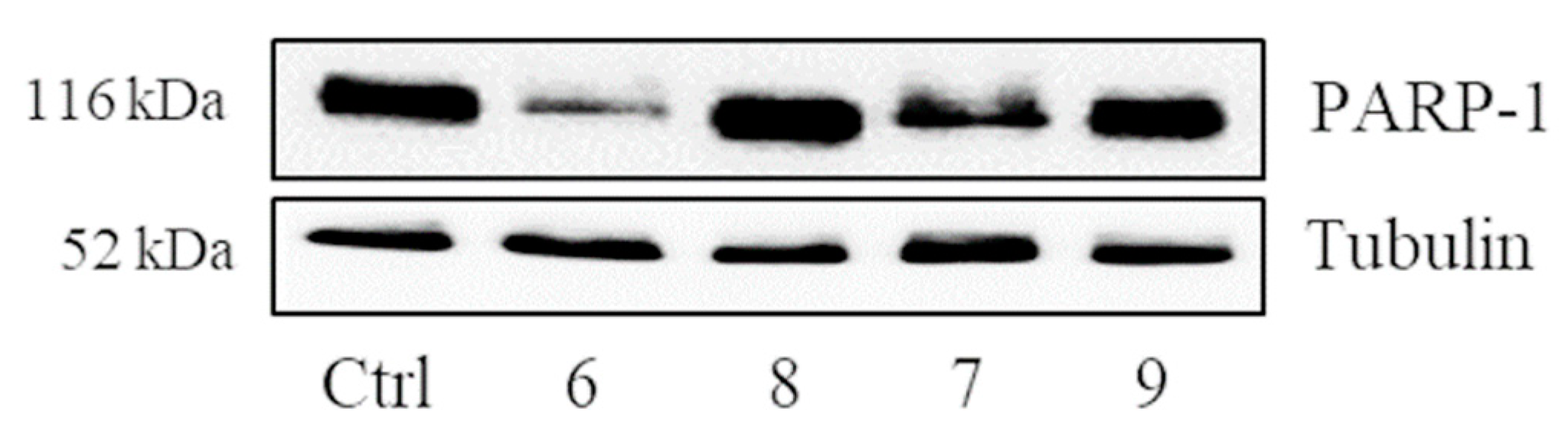 Molecules 26 04740 g003 Molecules 26 04740 g003