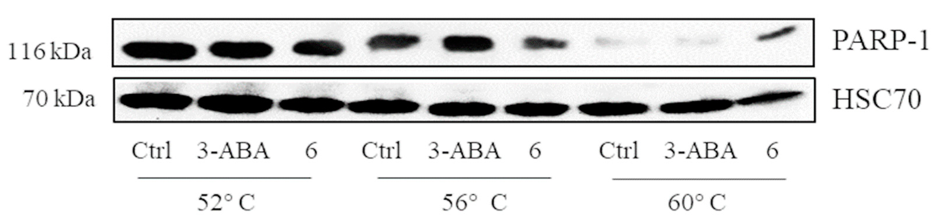 Molecules 26 04740 g006 Molecules 26 04740 g006