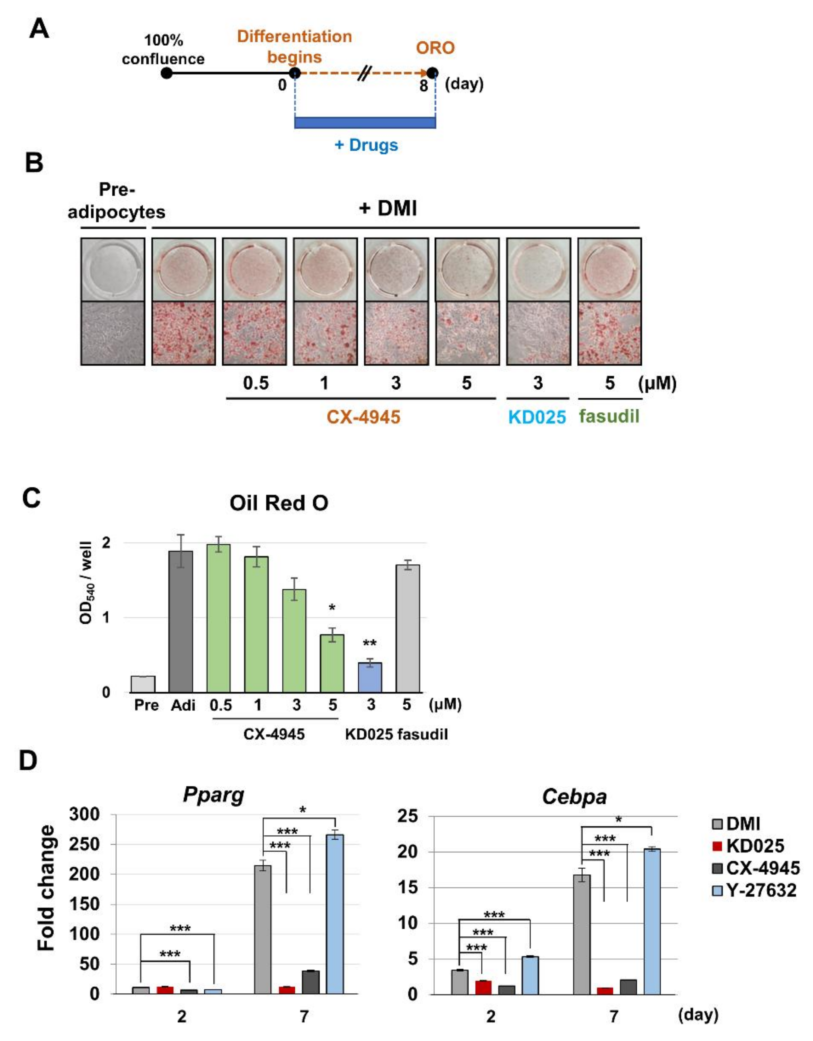 Molecules 26 04747 g005 550