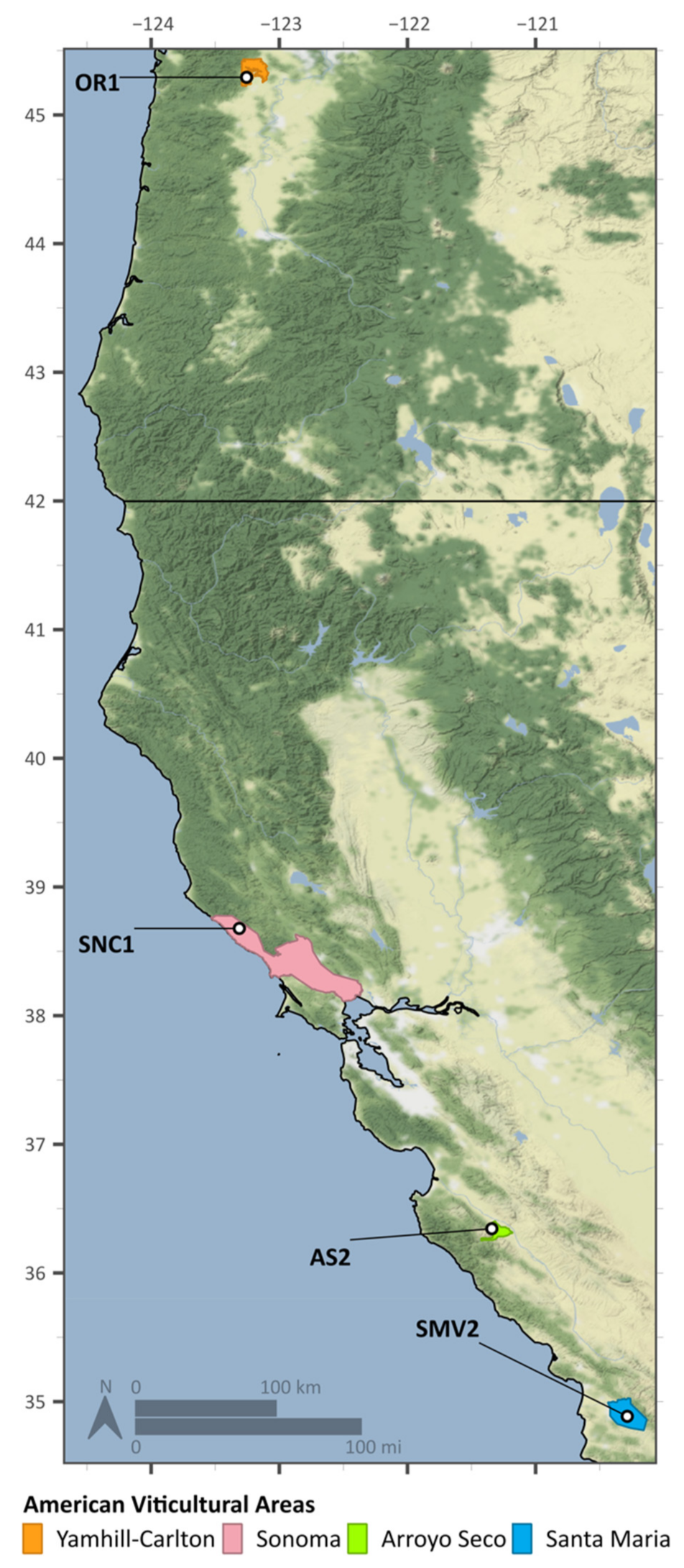 Molecules 26 04748 g001
