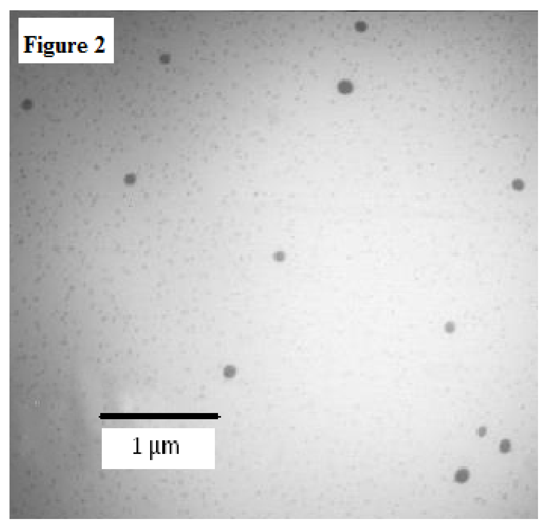 Molecules 26 04750 g002 Molecules 26 04750 g002