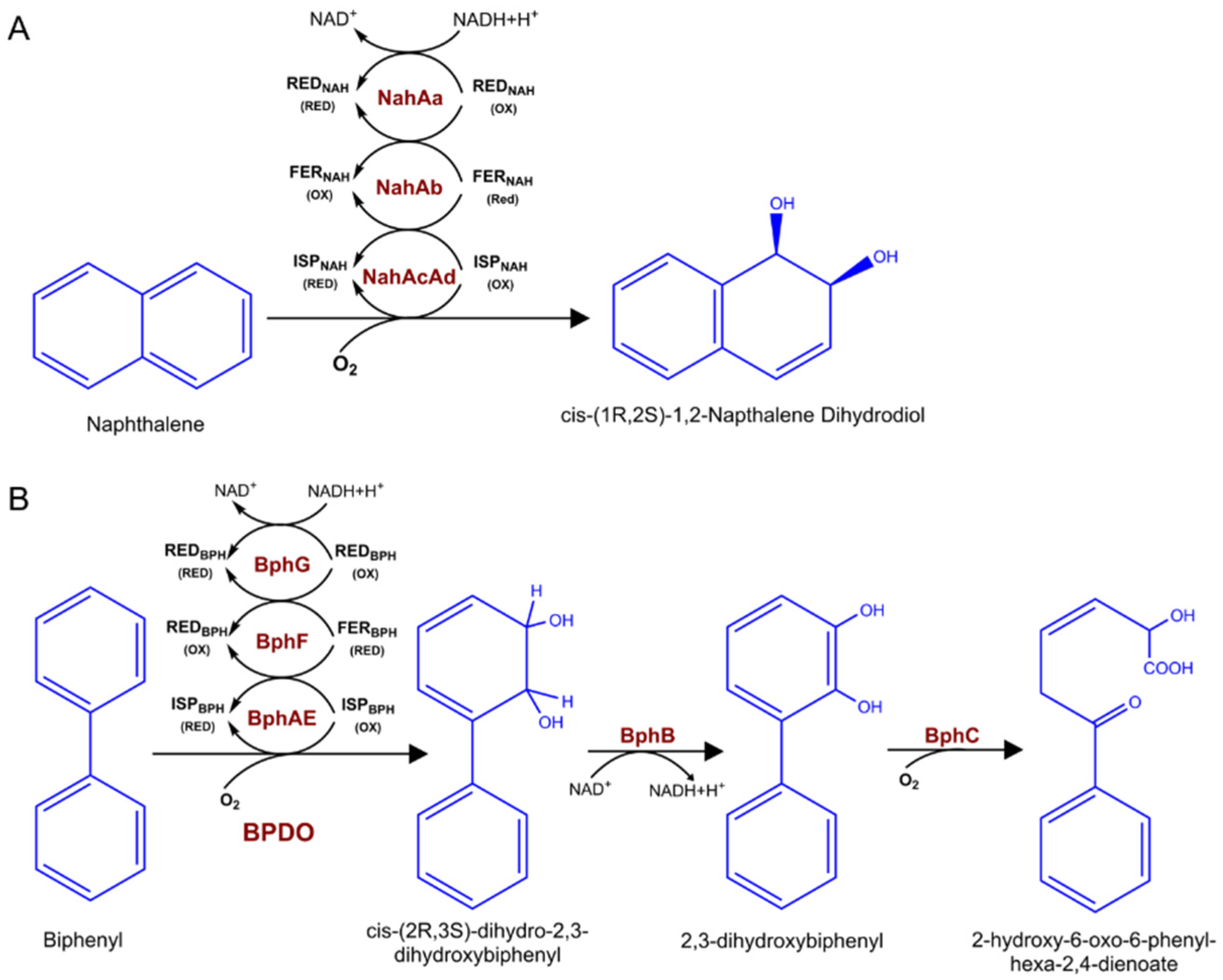 Molecules 26 04751 g002 Molecules 26 04751 g002