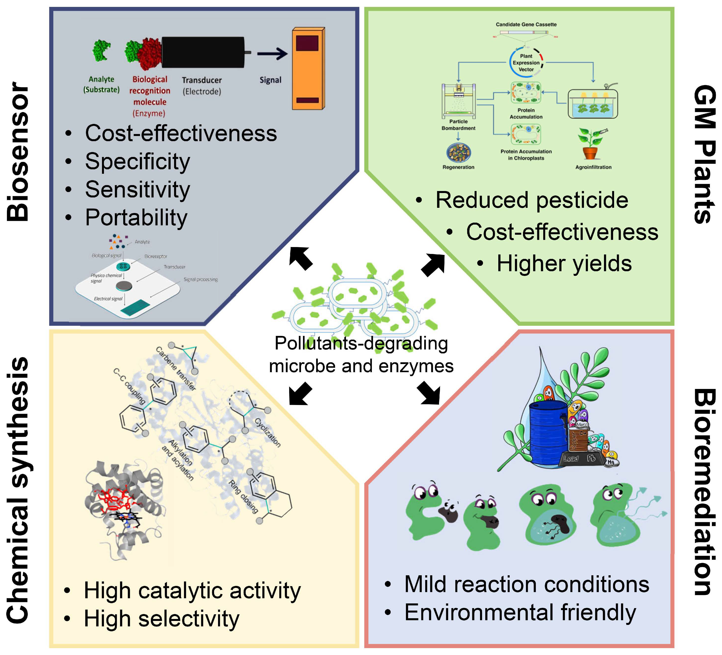 Molecules 26 04751 g005 Molecules 26 04751 g005