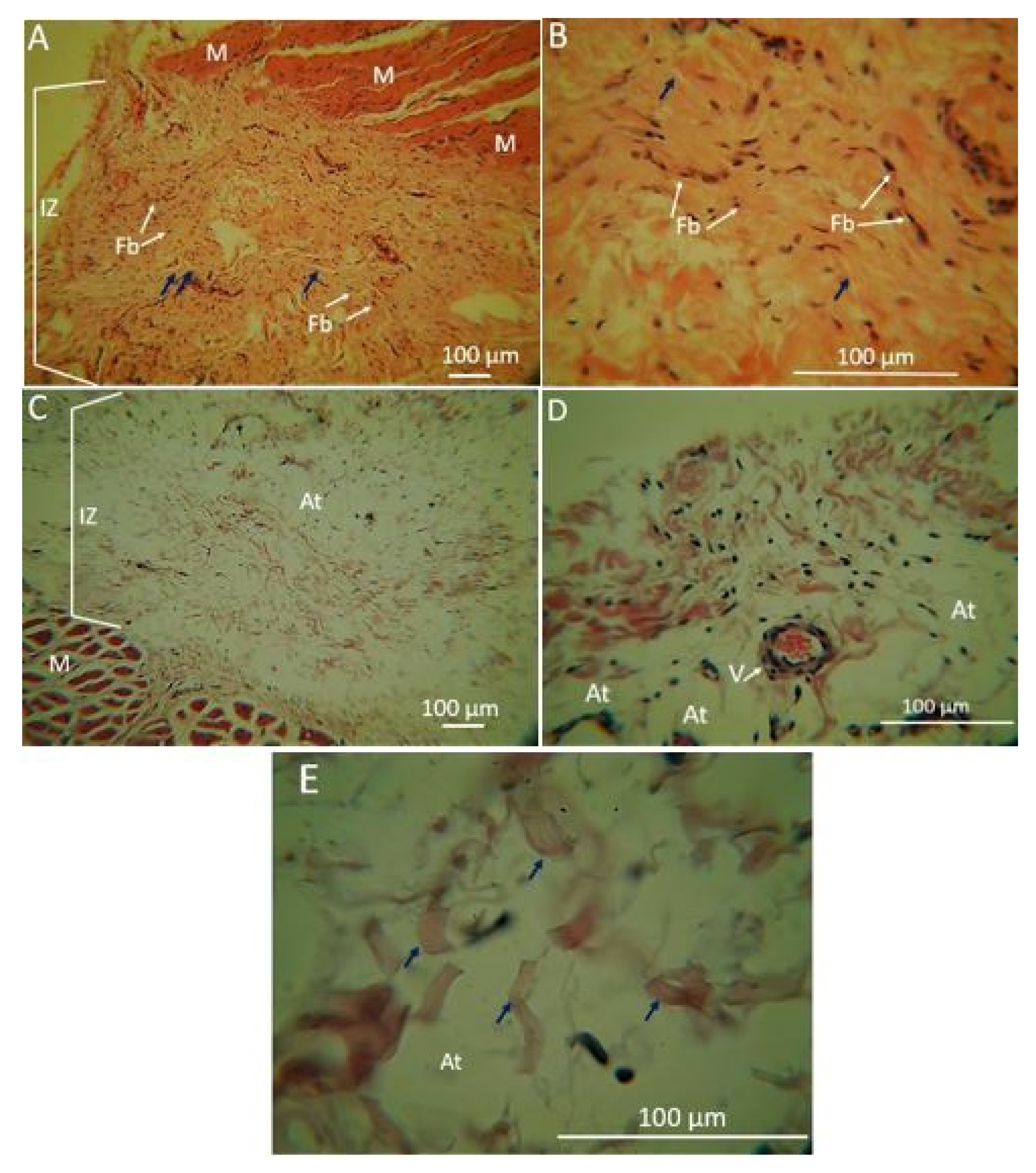 Molecules 26 04753 g007